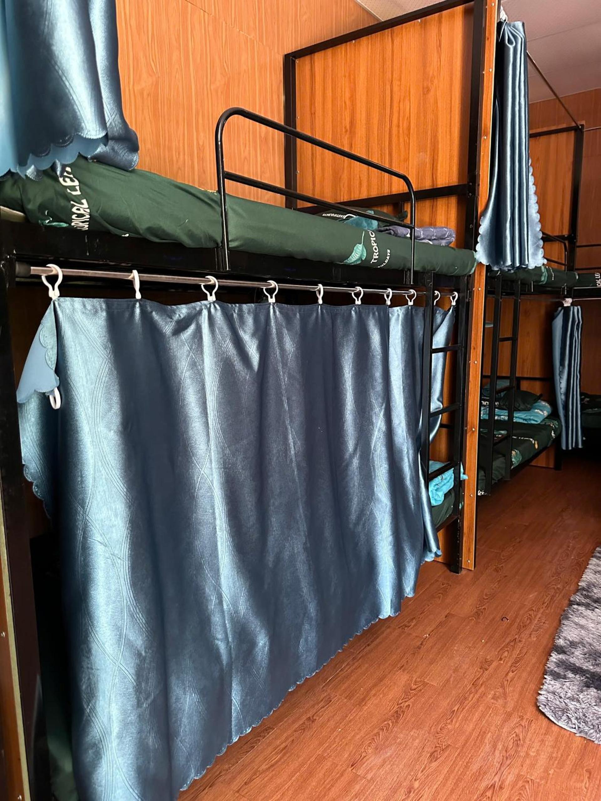 Bunk Bed in Mixed Dormitory Room photo 2