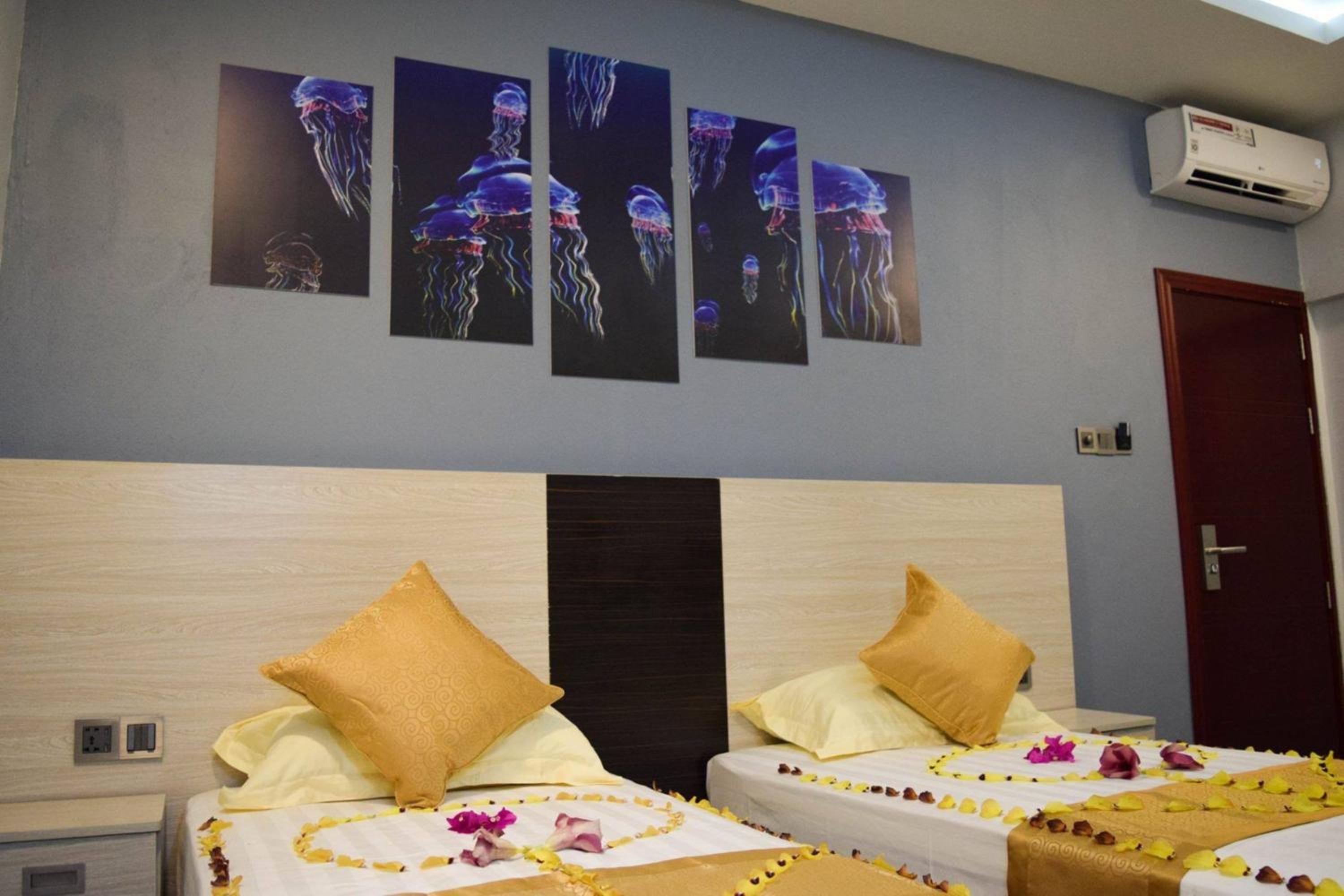 Double or Twin Room photo 2