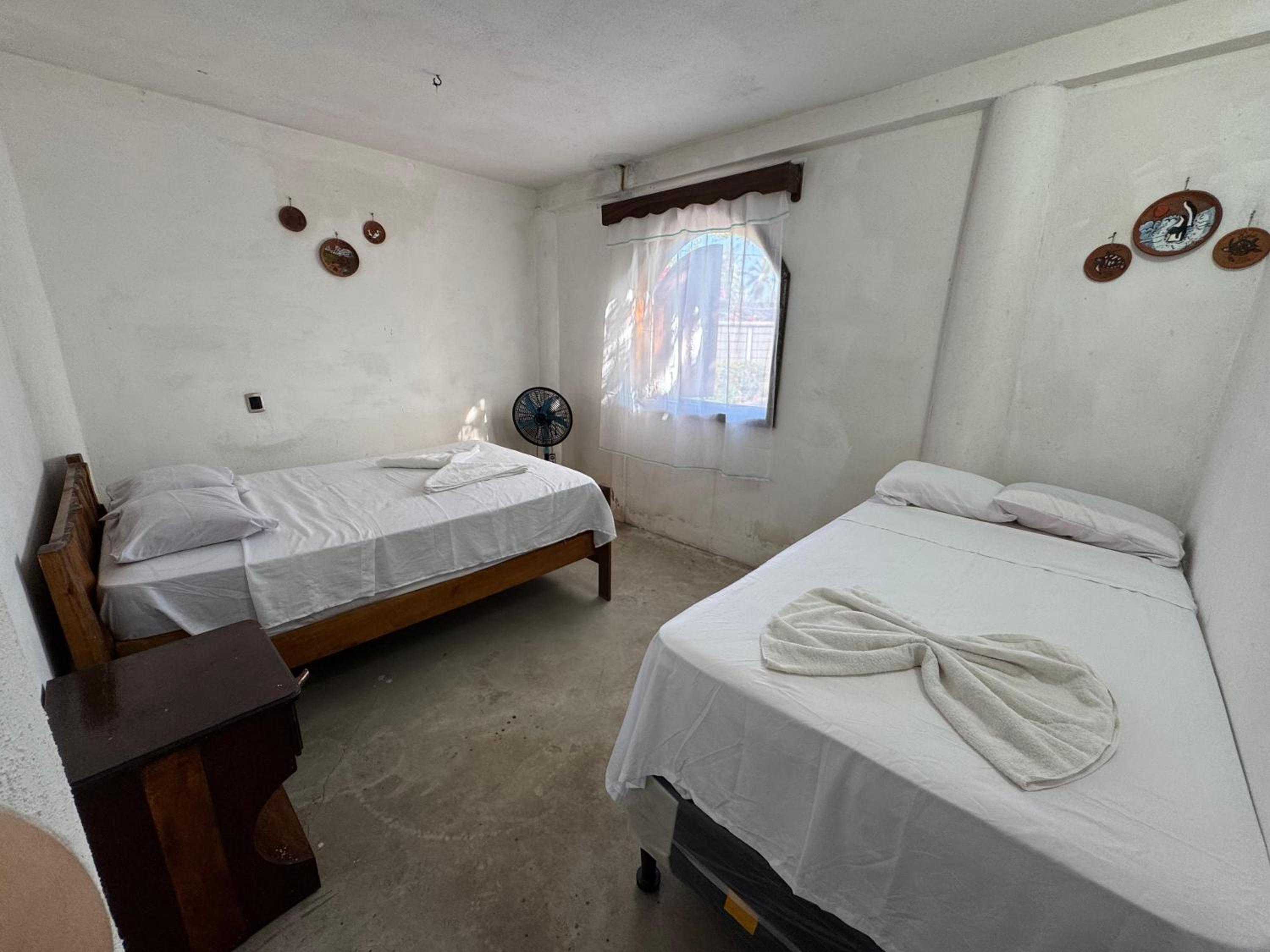 One-Bedroom House photo 3