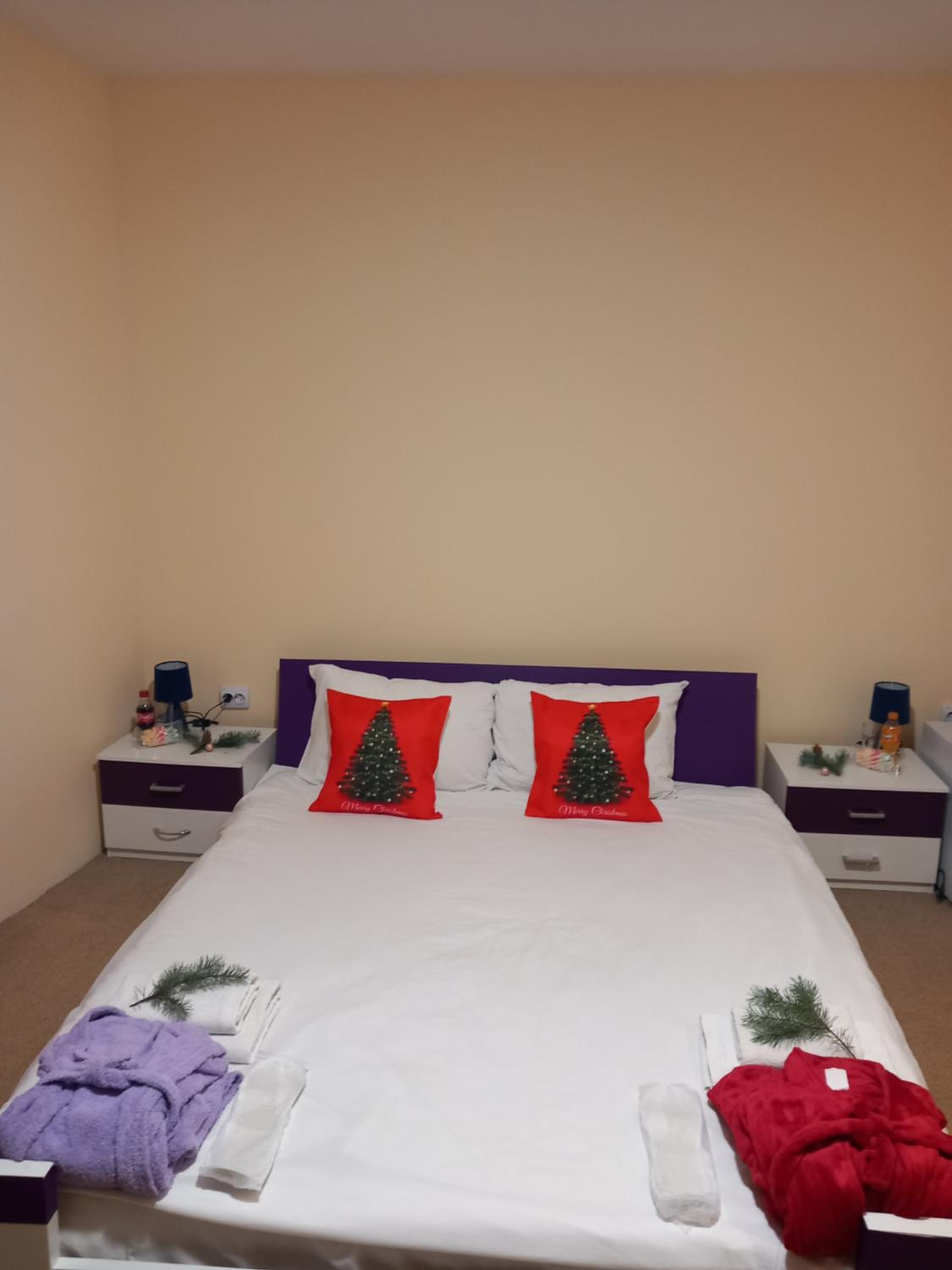 Deluxe Double Room with Extra Bed photo 2