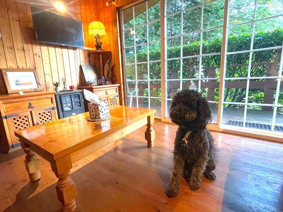 Chalet thumbnail 5