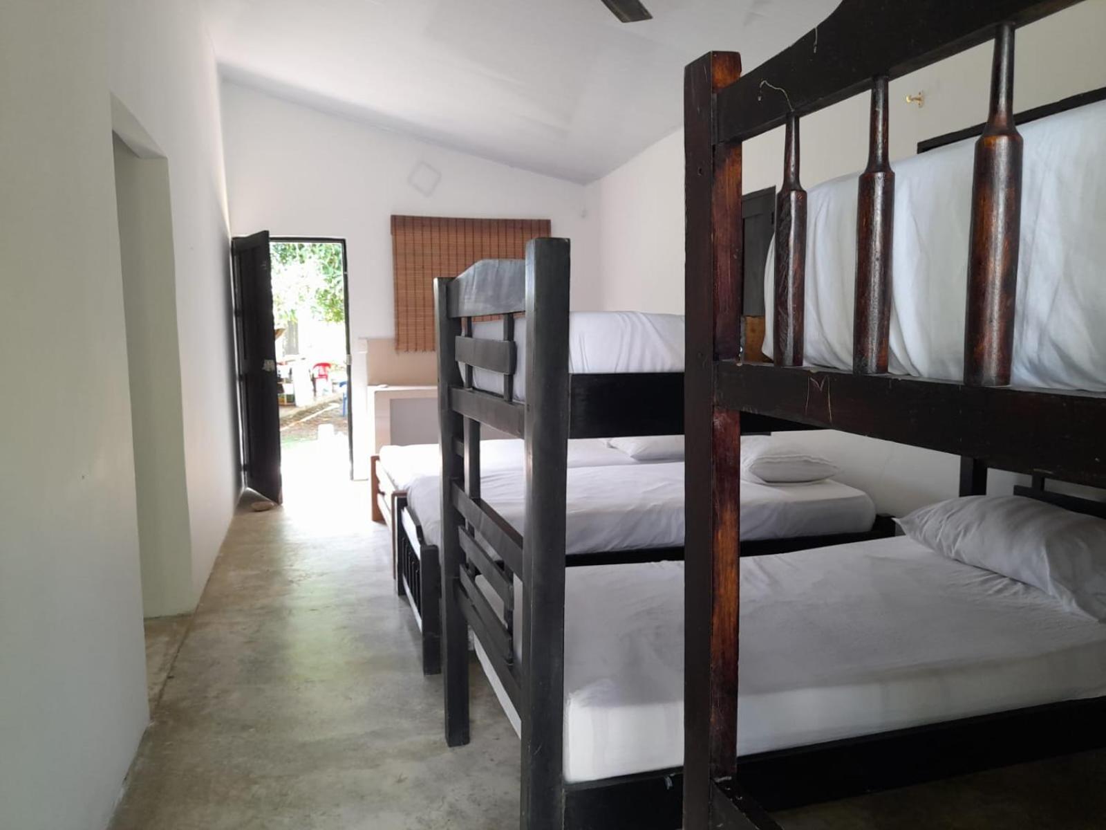 Triple Room photo 3