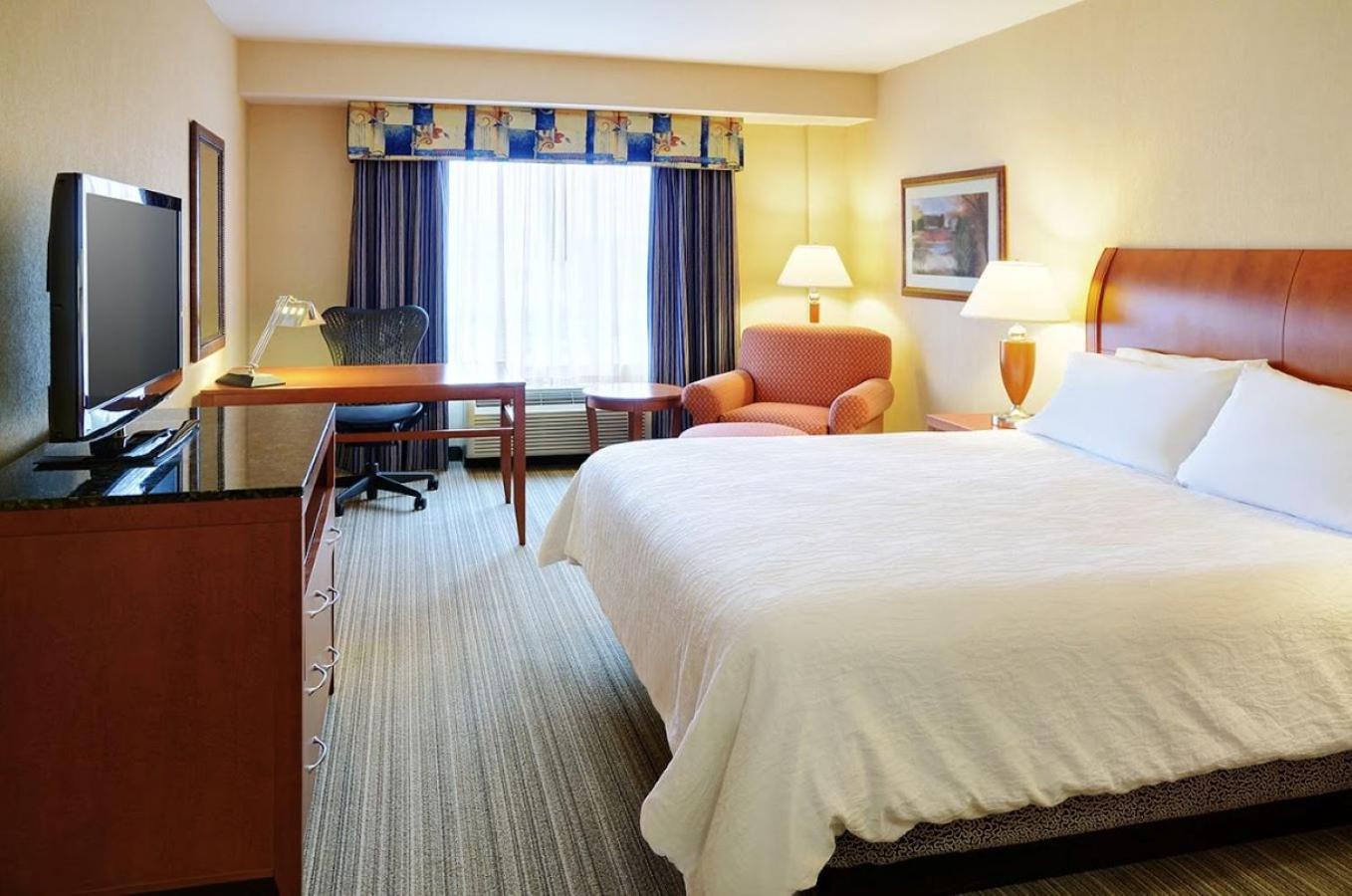 King Room - Photo 5