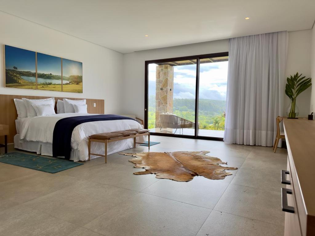 Suite - Photo 1