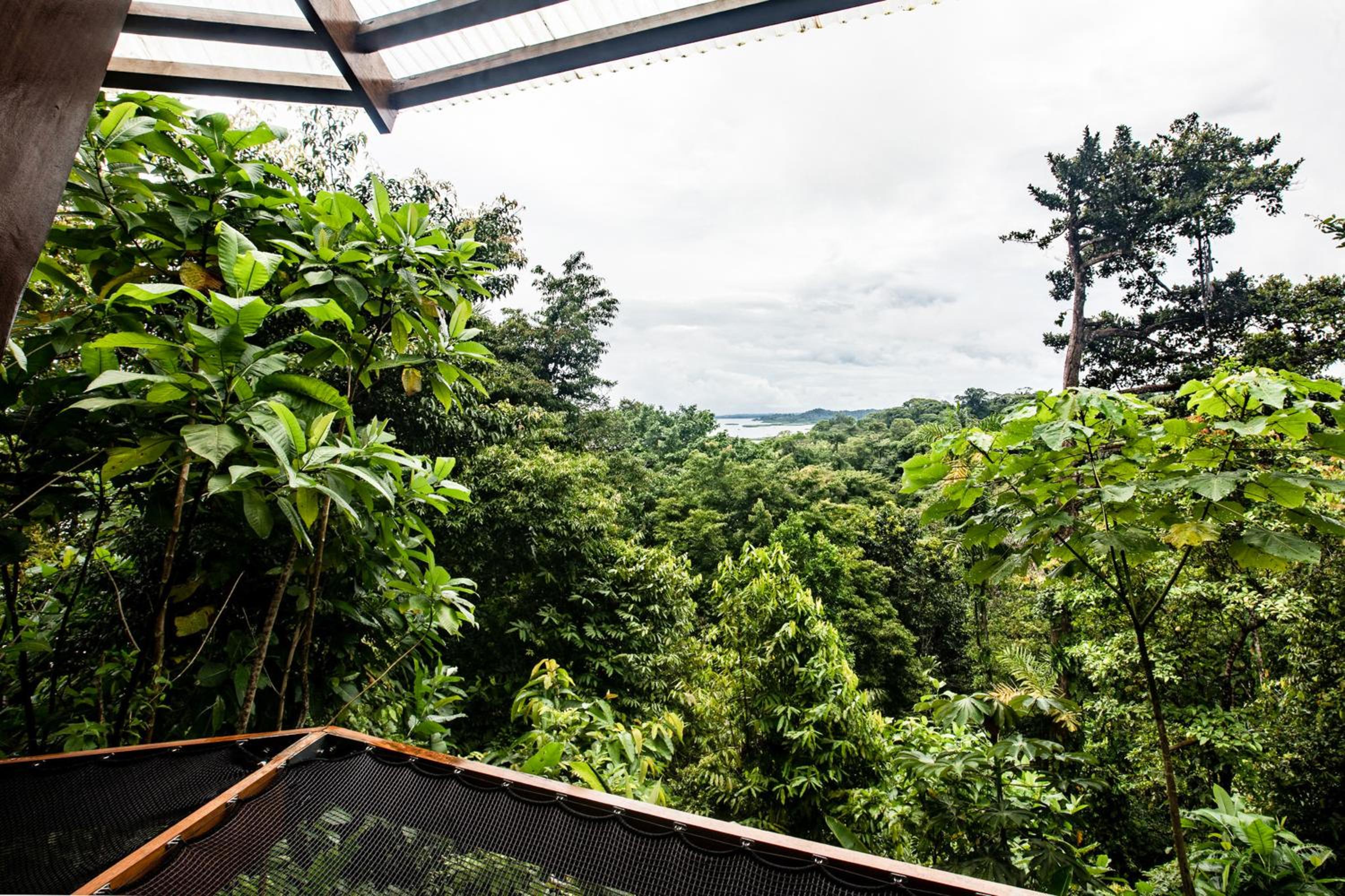 Rainforest Queen Bungalow photo 3