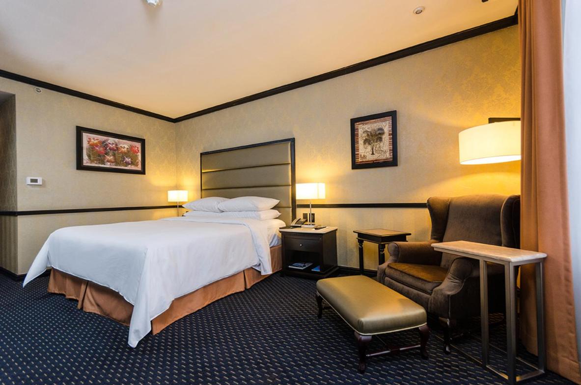 Executive King Room - Photo 4