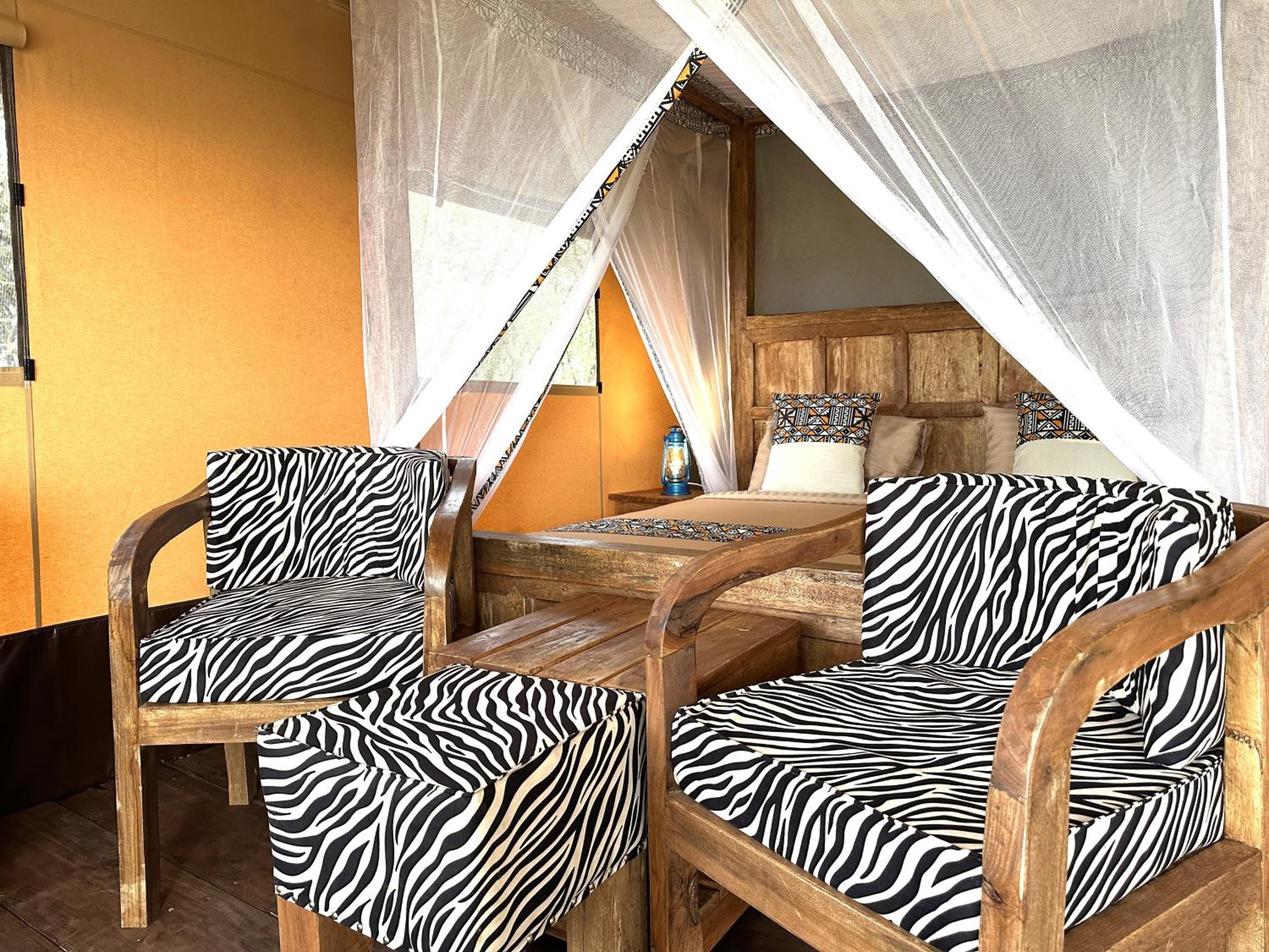 Safari Luxury photo 1