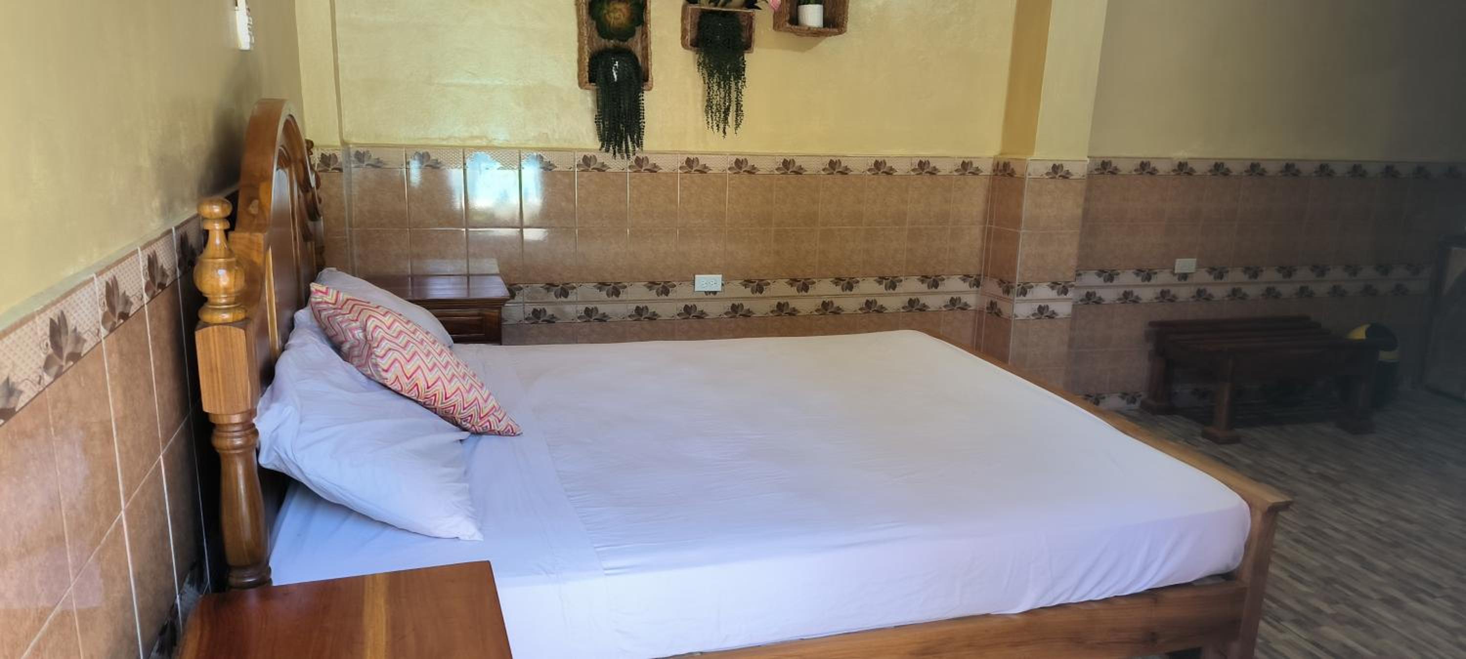 Superior Single Room photo 3