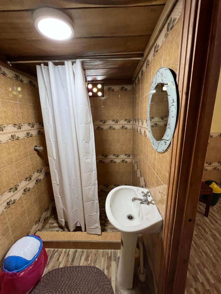 Superior Single Room photo 2