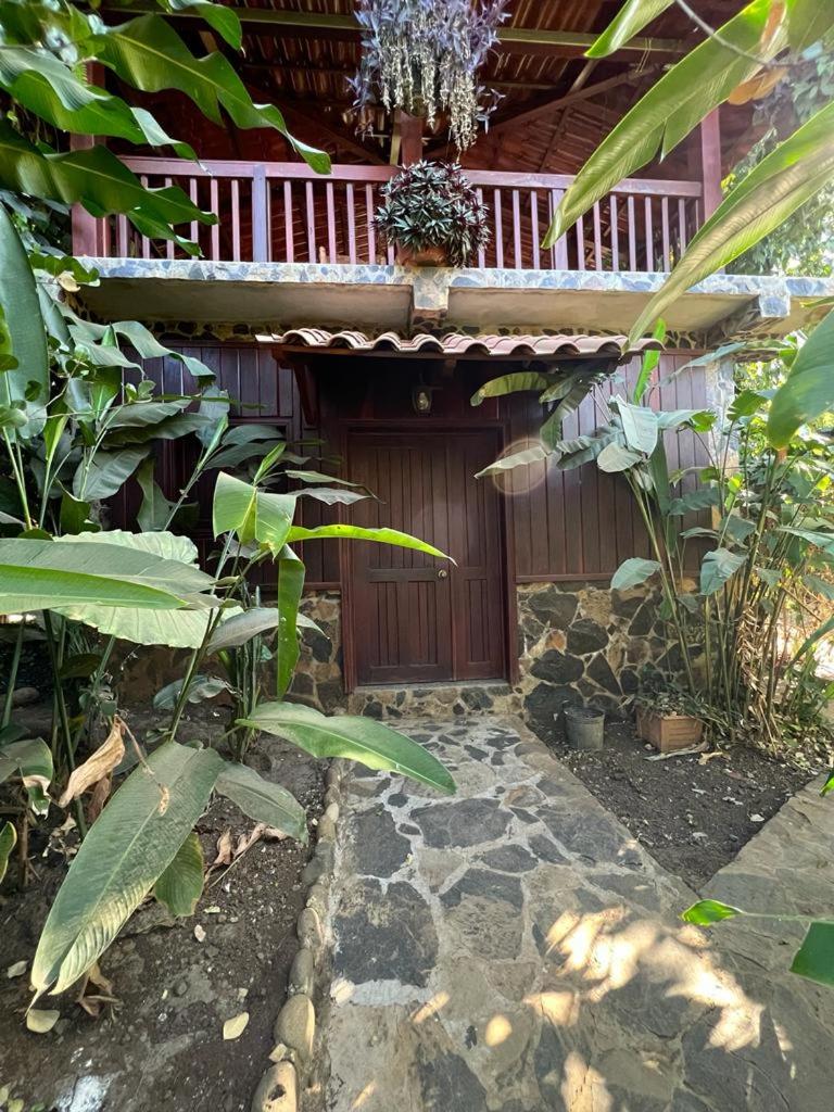 Family Room With Terrace photo 3