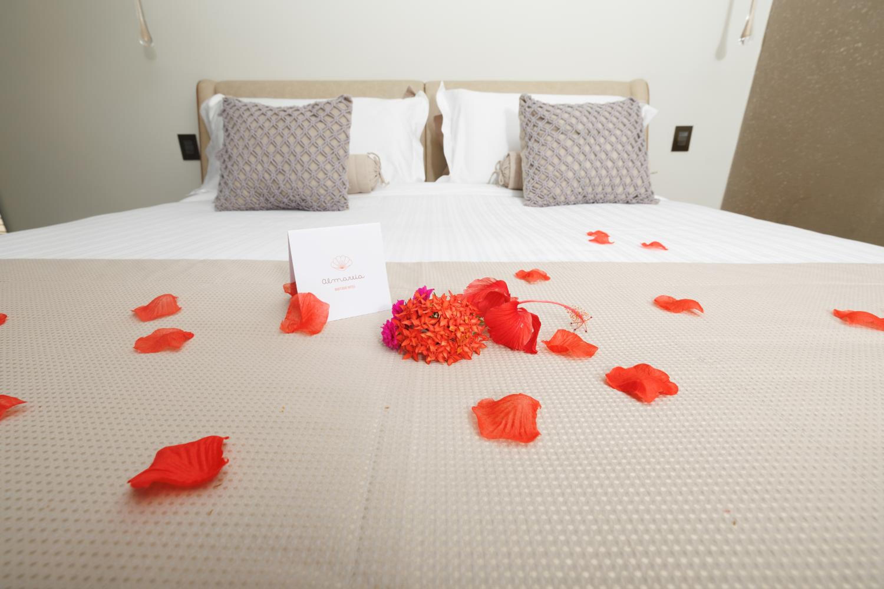 King Suite with Ocean View photo 1