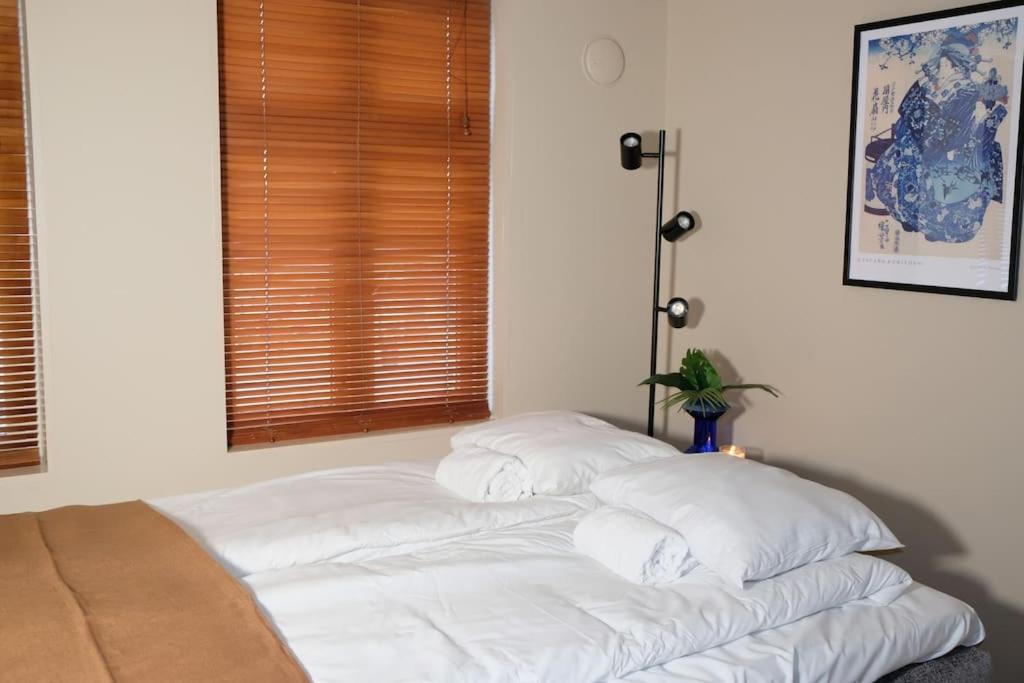 One-Bedroom Apartment photo 3