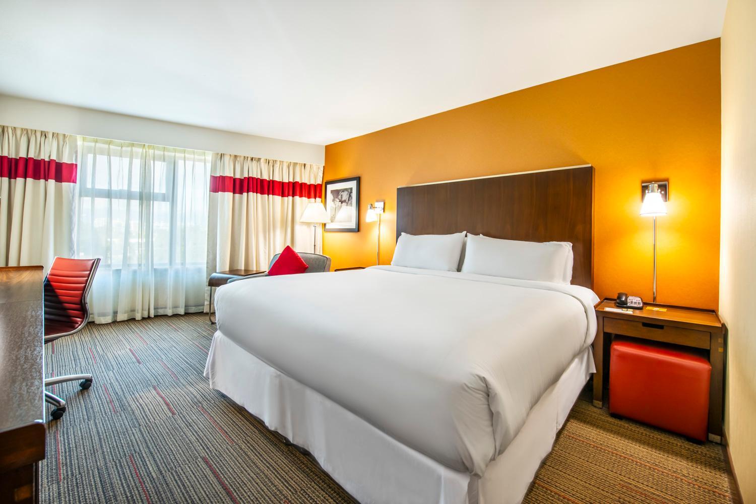 1 King Bed, Non Smoking photo 1