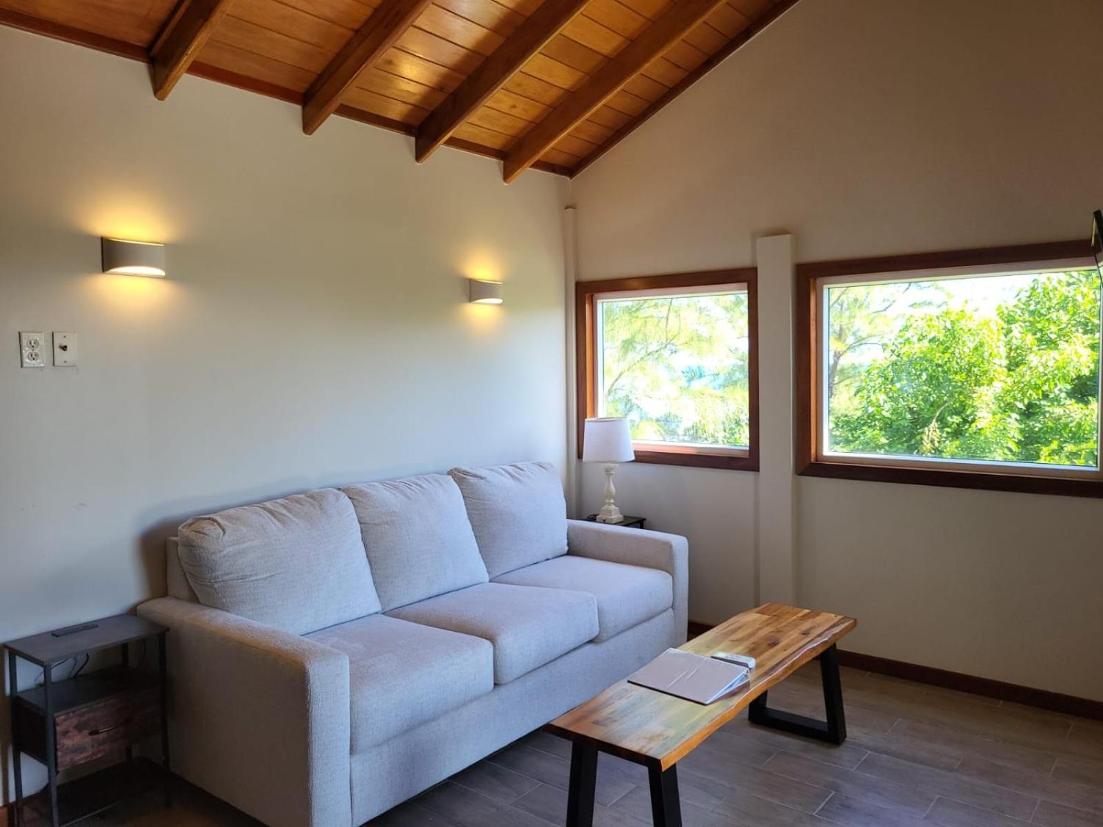 One-Bedroom House photo 2