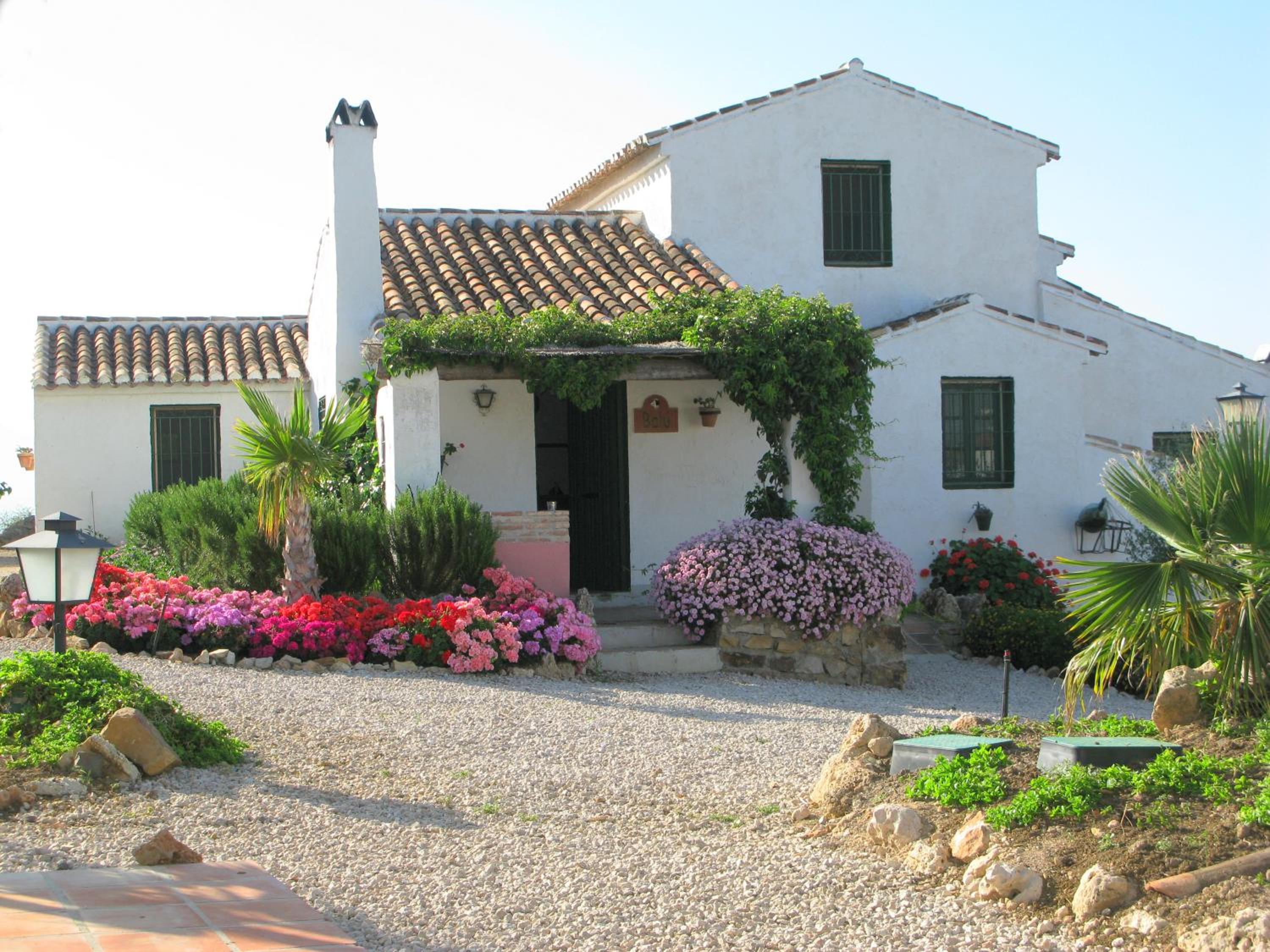 One-Bedroom Cottage photo 3