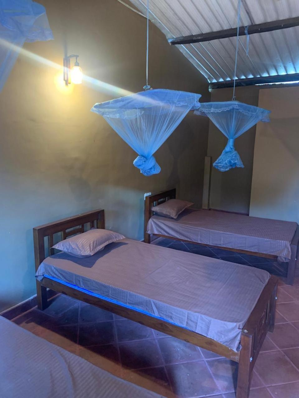 Basic Triple Room