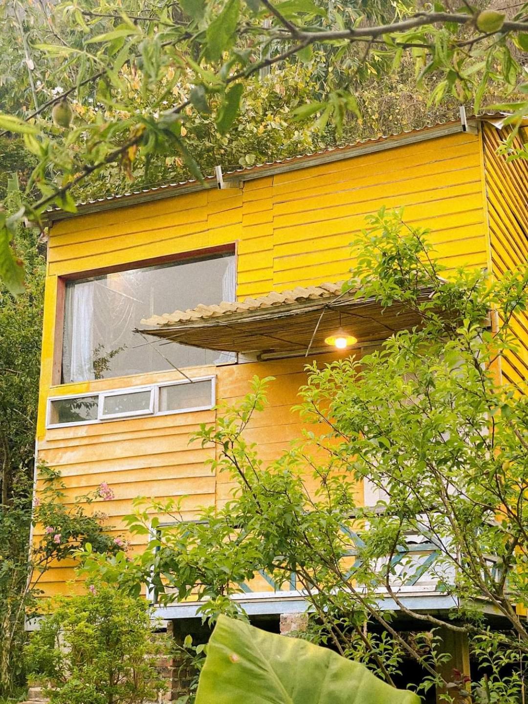 Deluxe Bungalow With Garden View photo 3