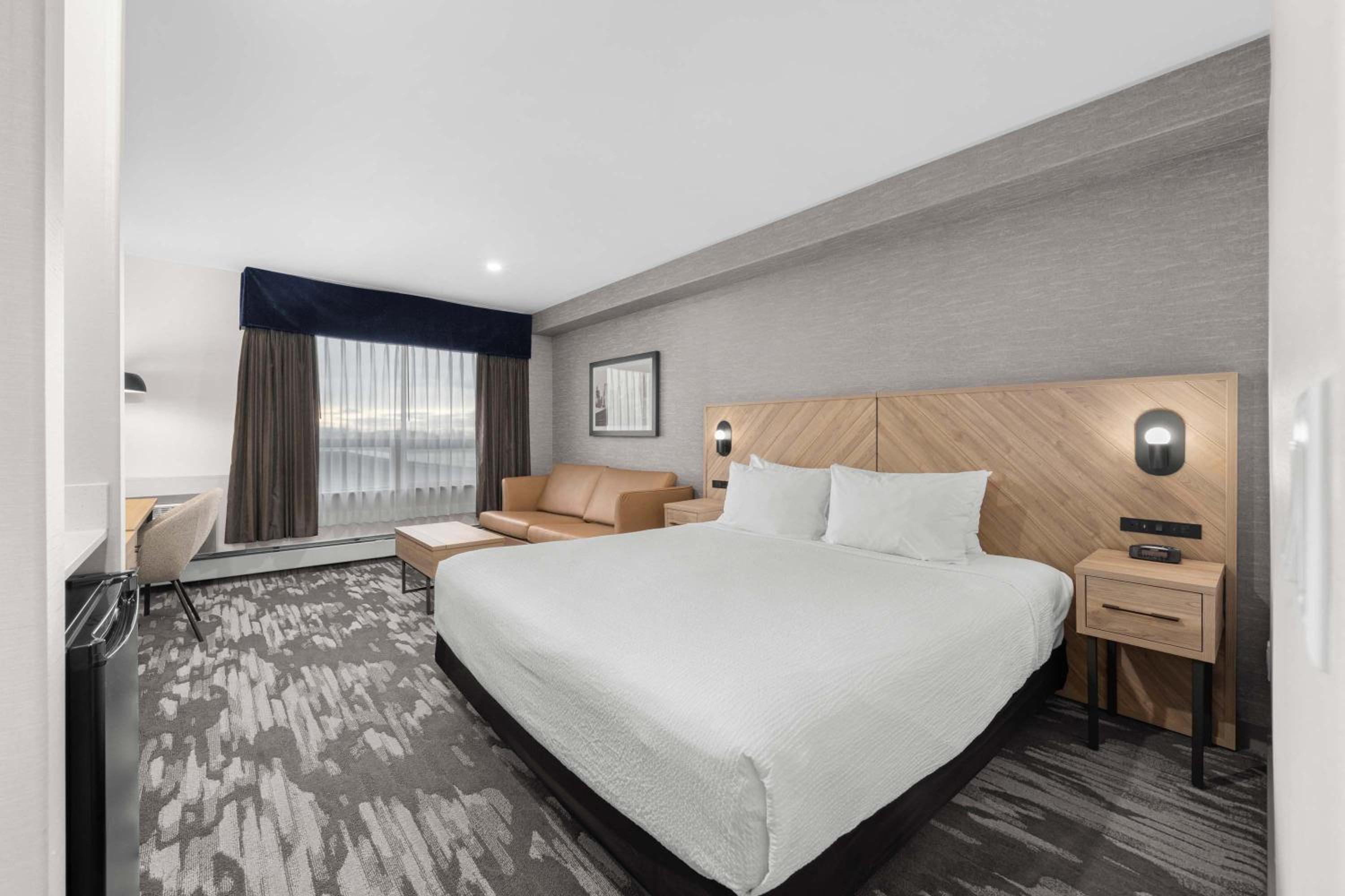 Standard Room, 1 King Bed, Sofa Bed