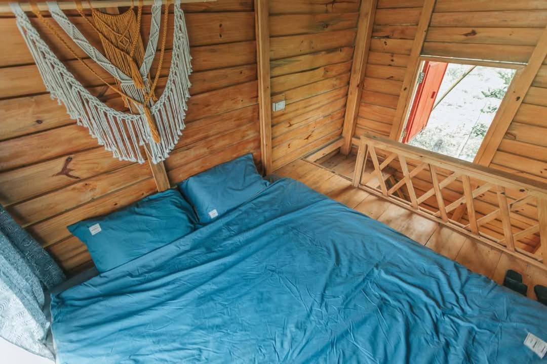 Deluxe Bungalow With Garden View photo 1