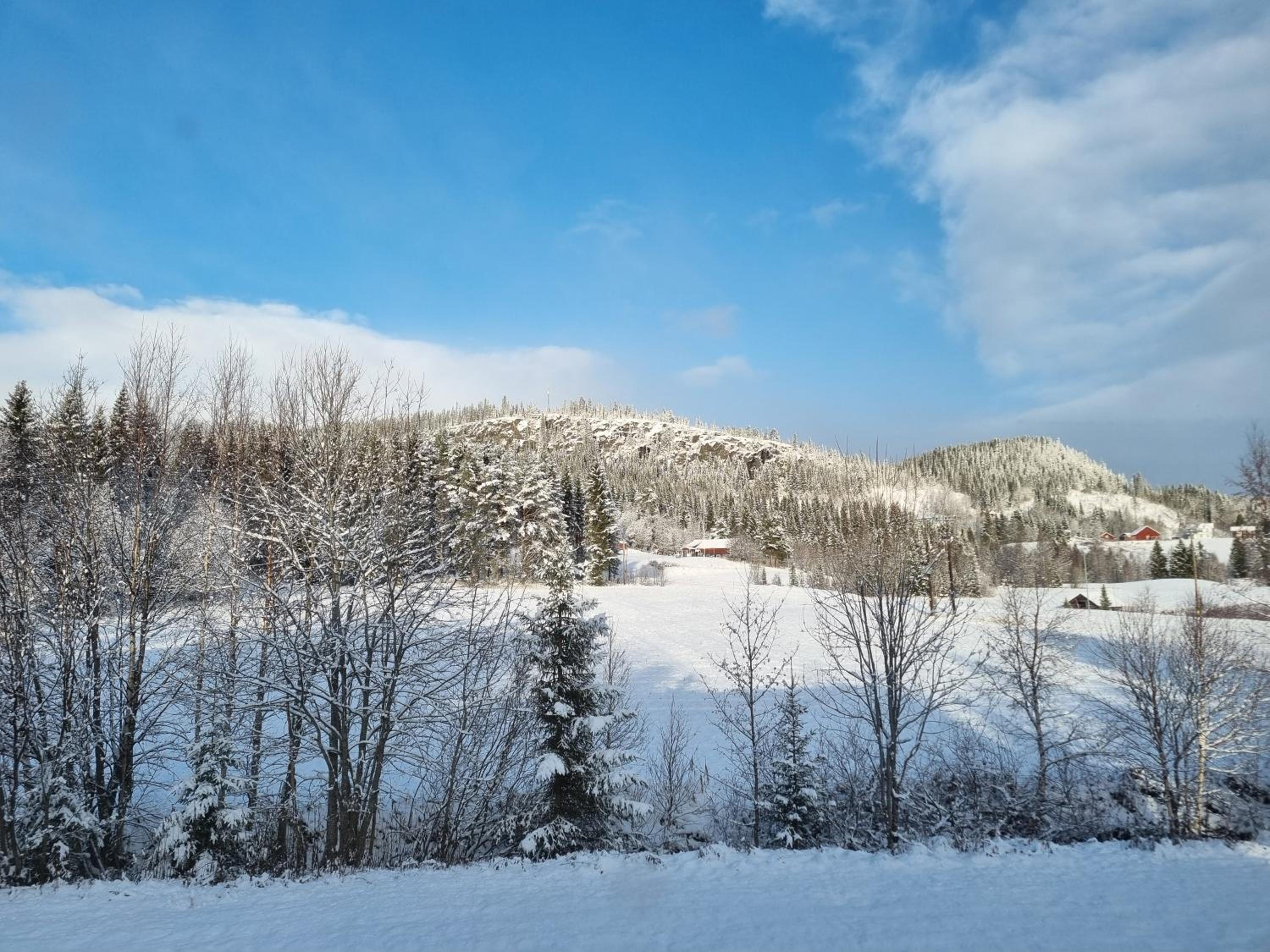 Vacation Home photo 3