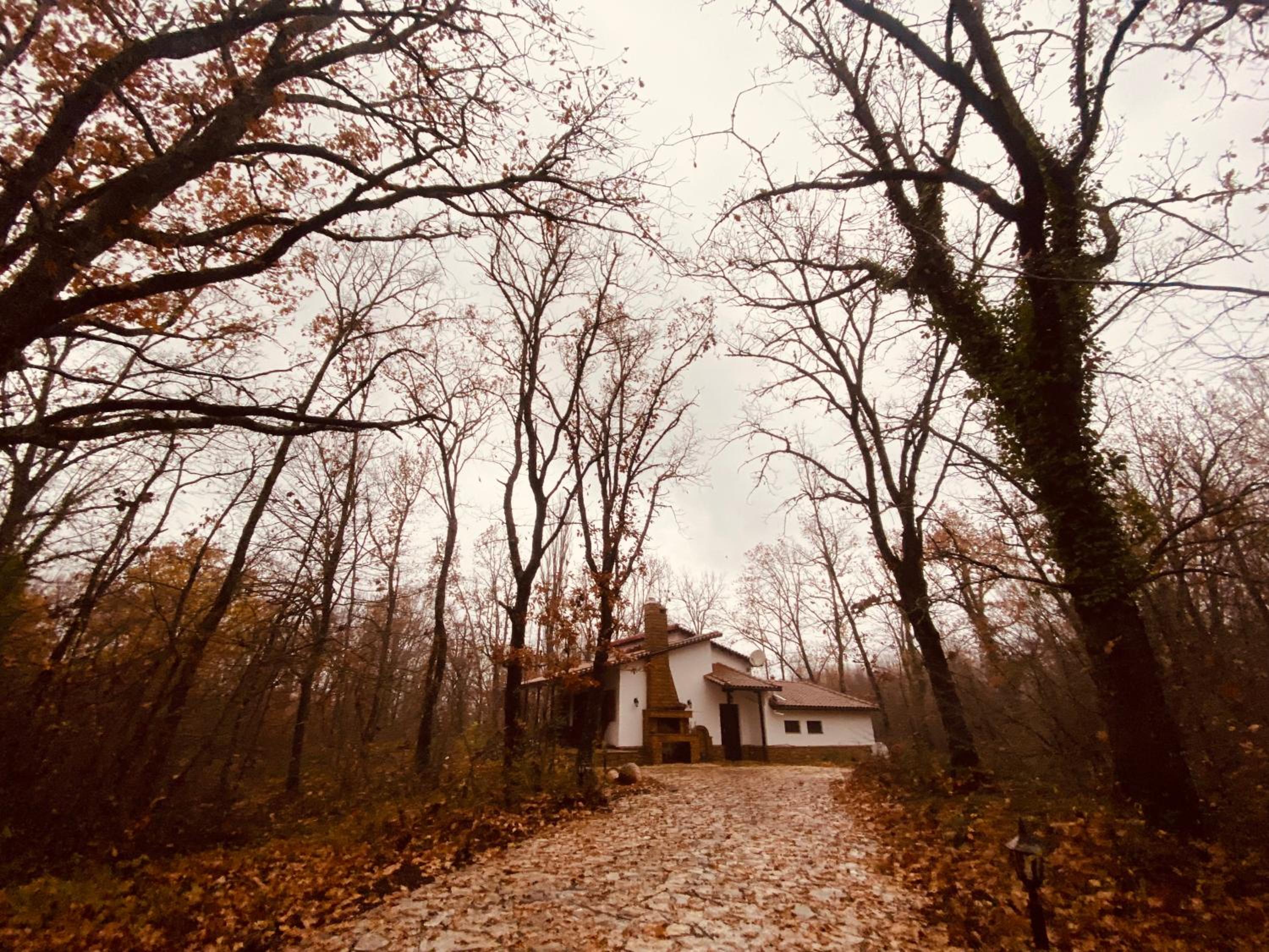 Villa photo 3