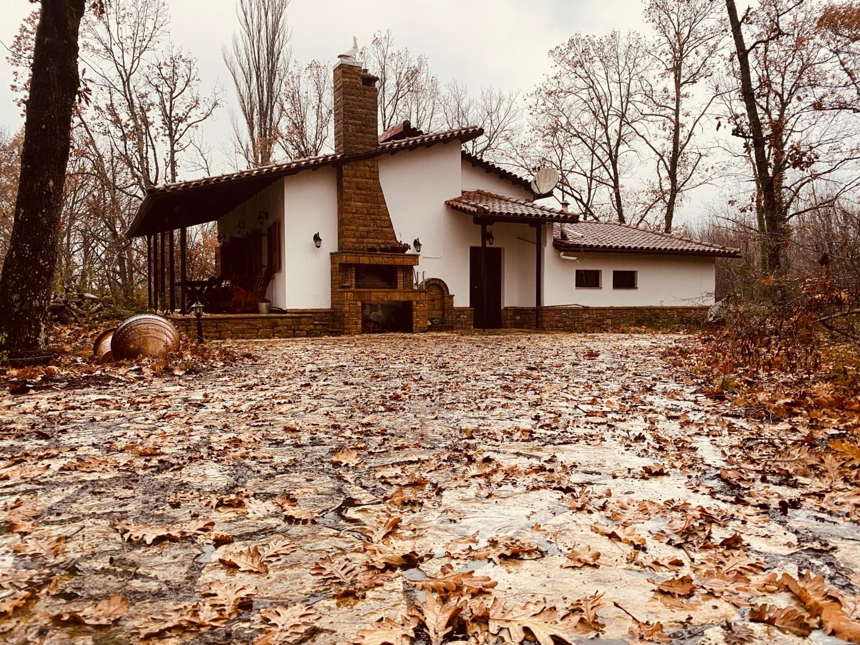Villa photo 2