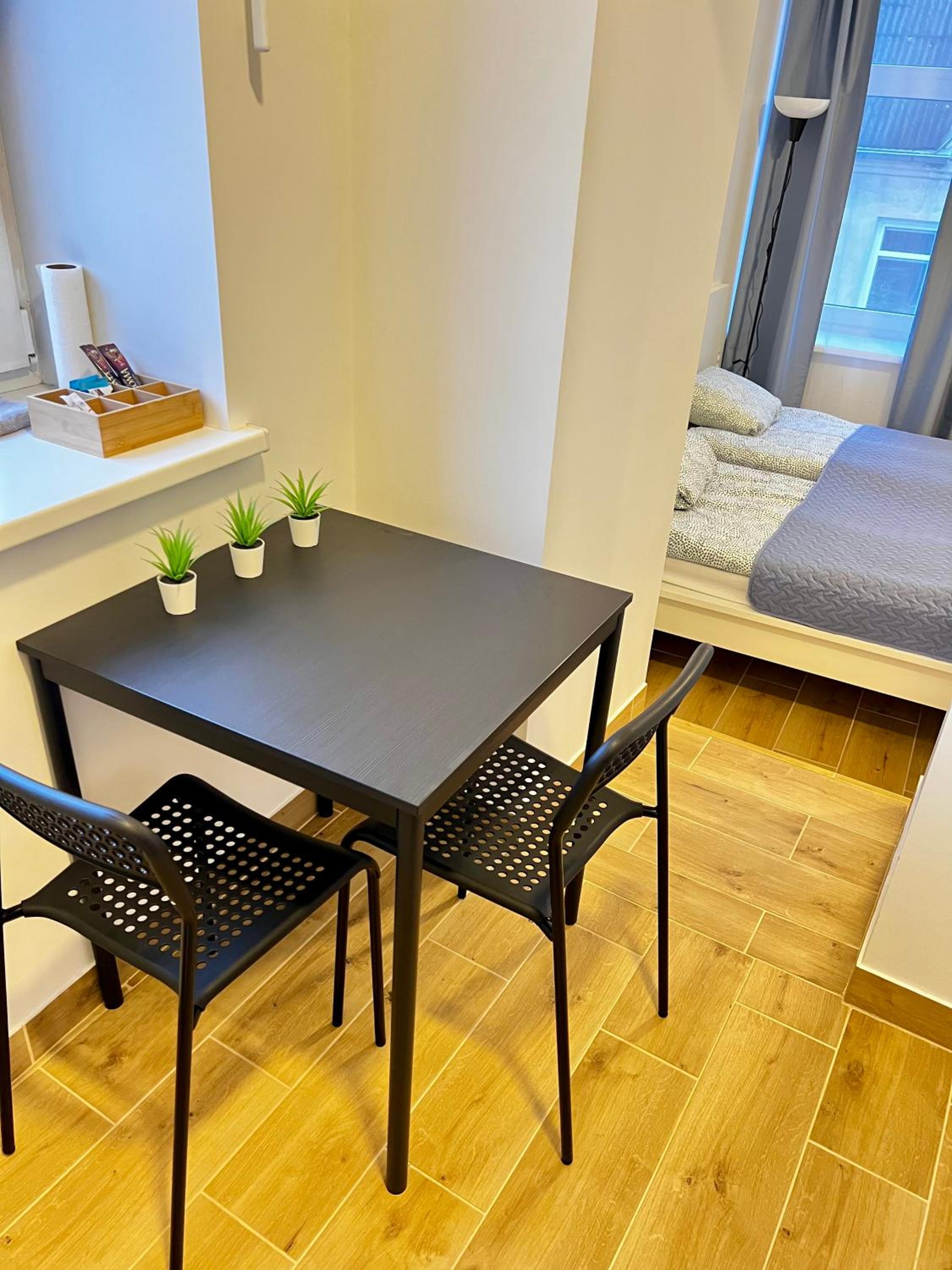 One-Bedroom Apartment photo 3