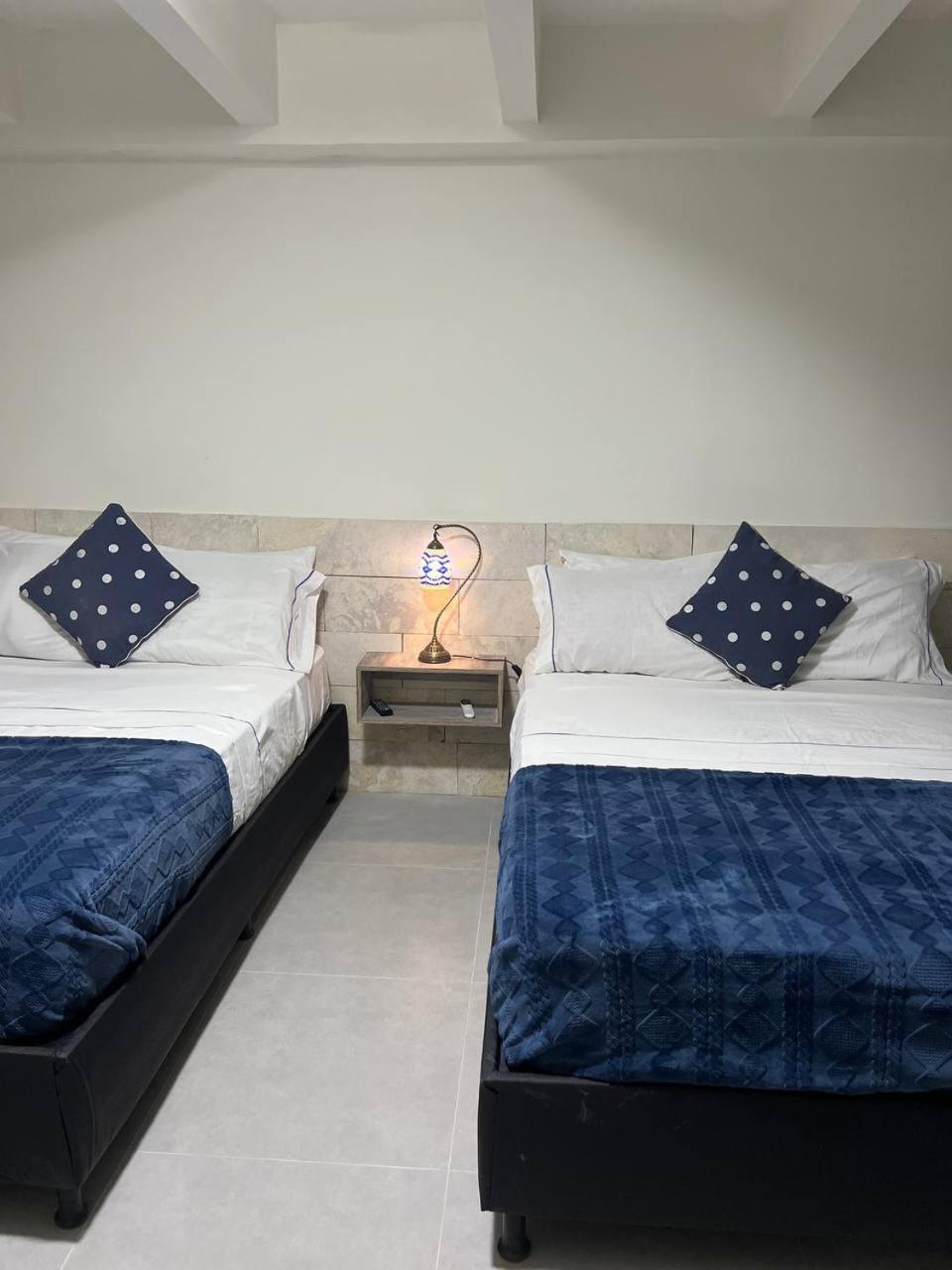 Twin Room photo 3