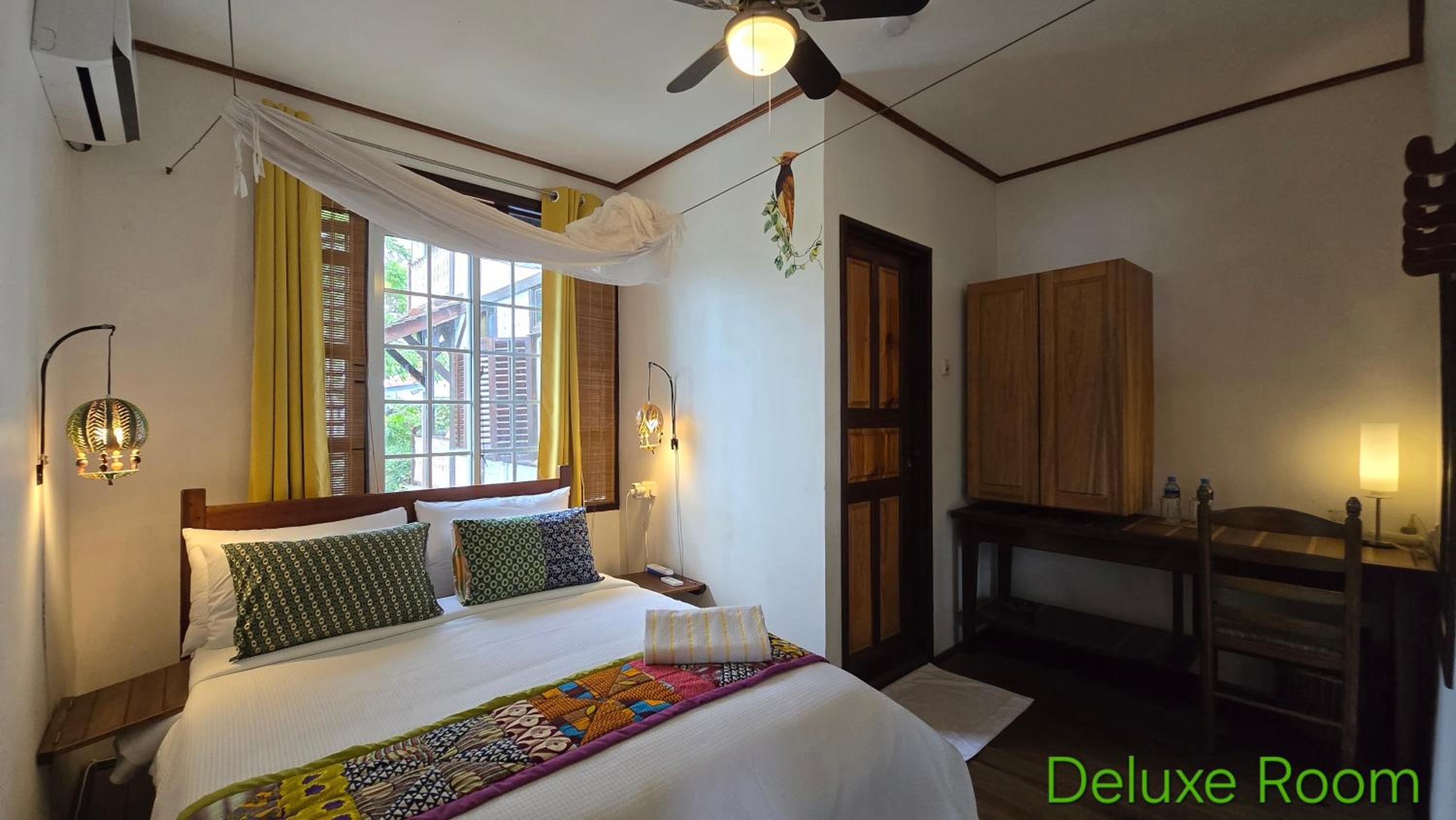 Deluxe Double or Twin Room photo 2