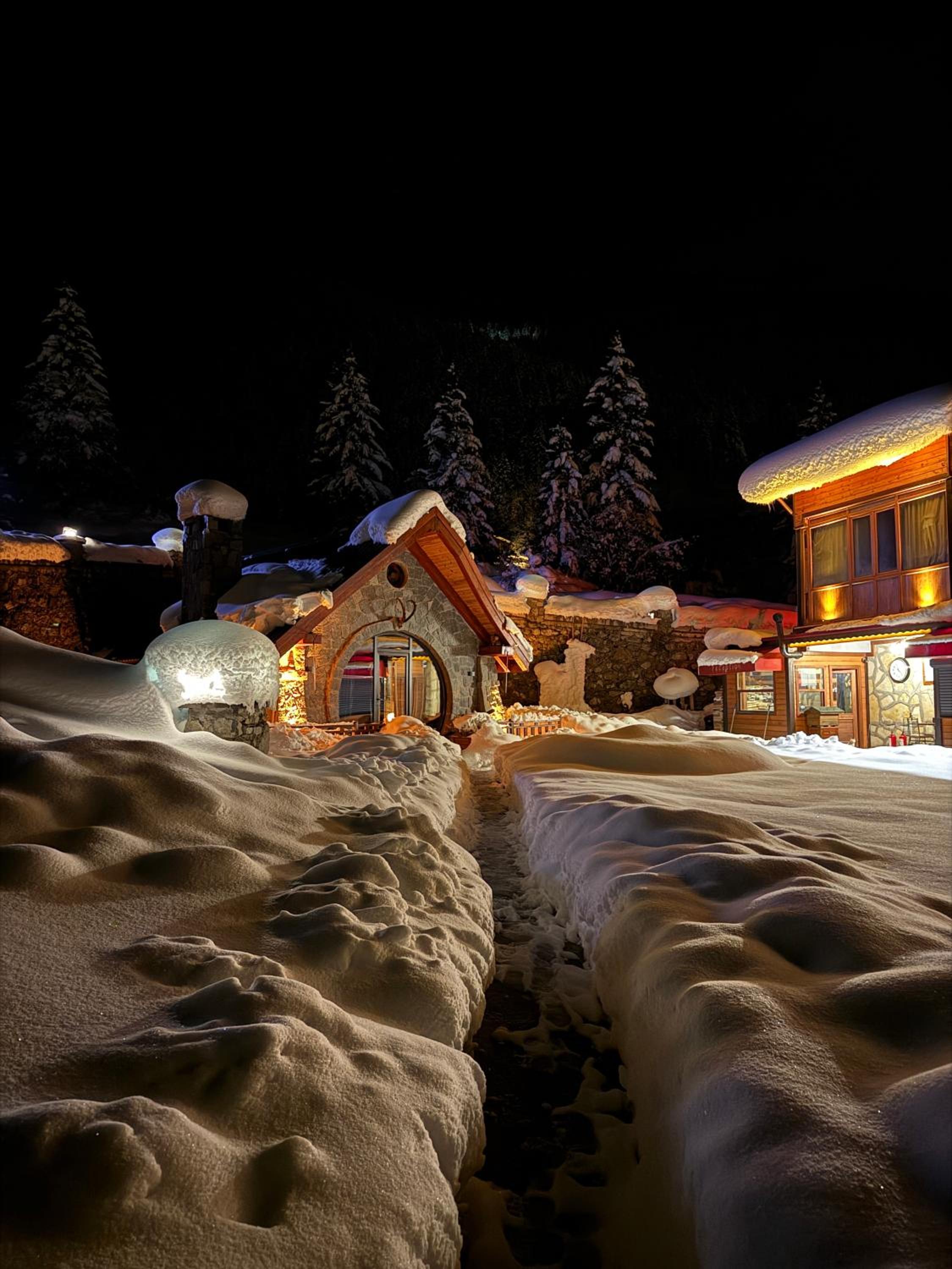 Bungalow - Photo 2