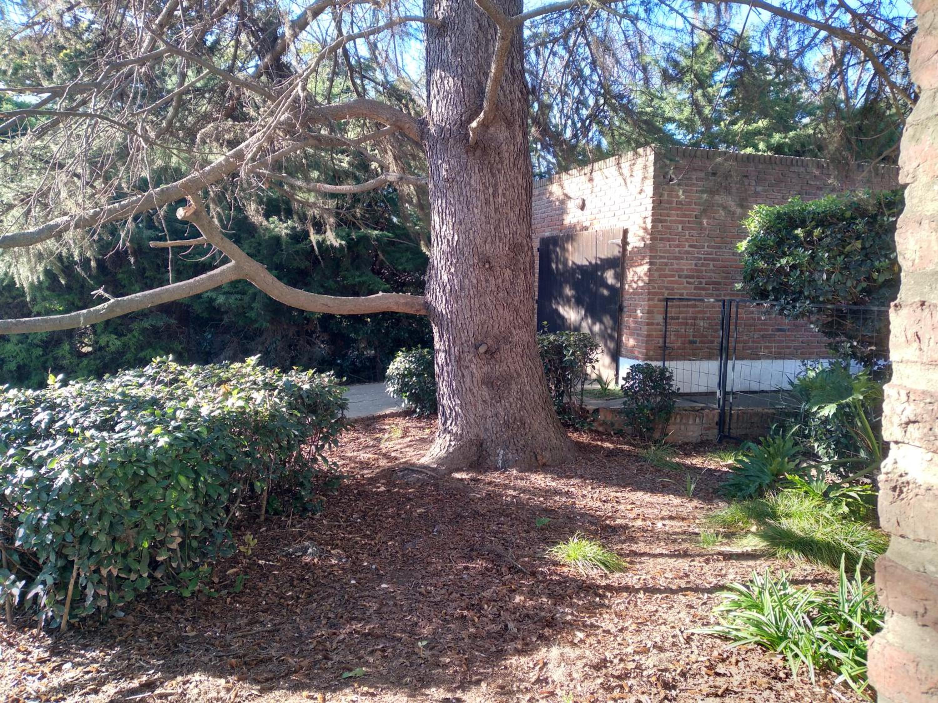 Two-Bedroom House photo 2