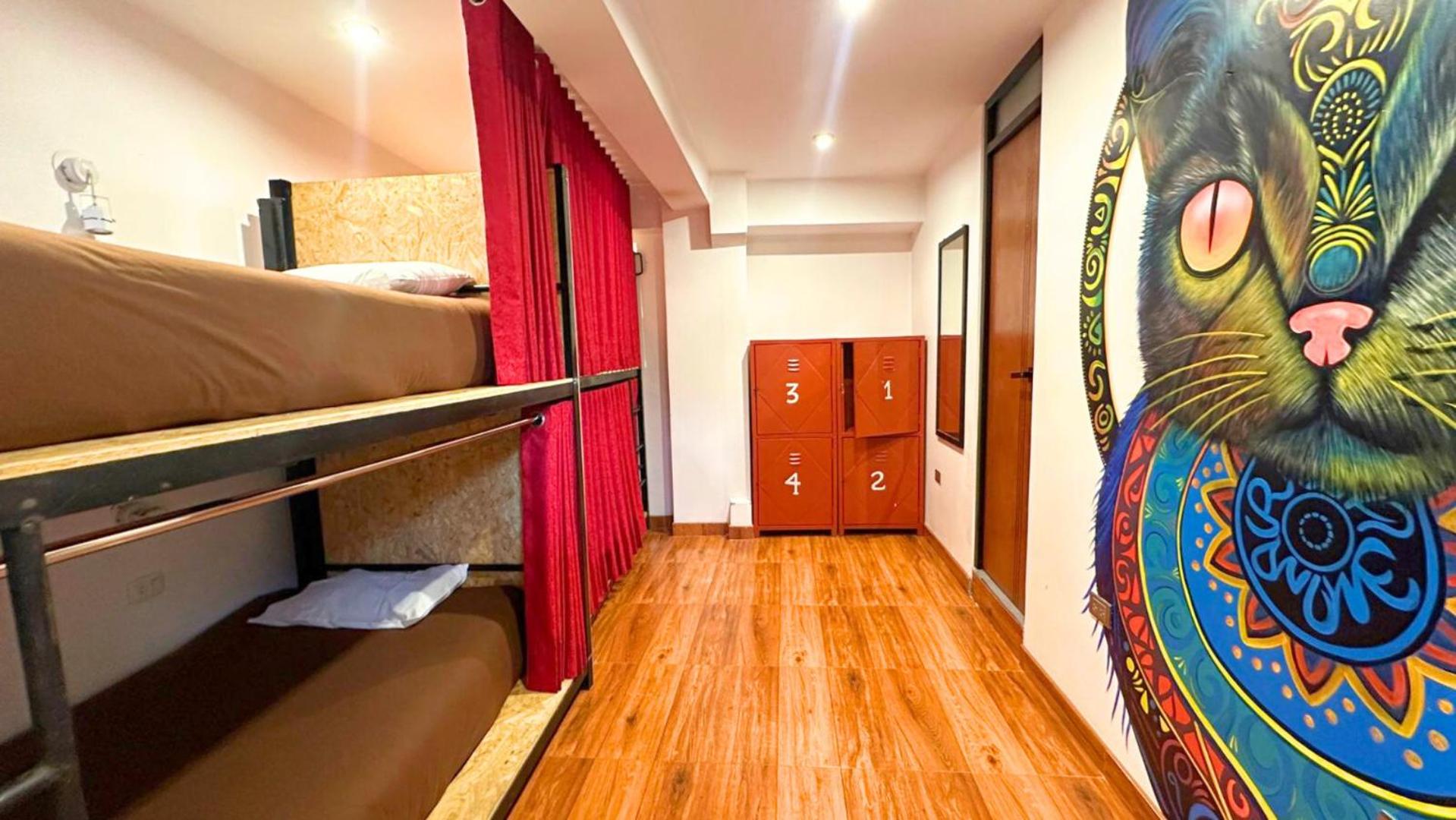 4-Bed Mixed Dormitory Room photo 1