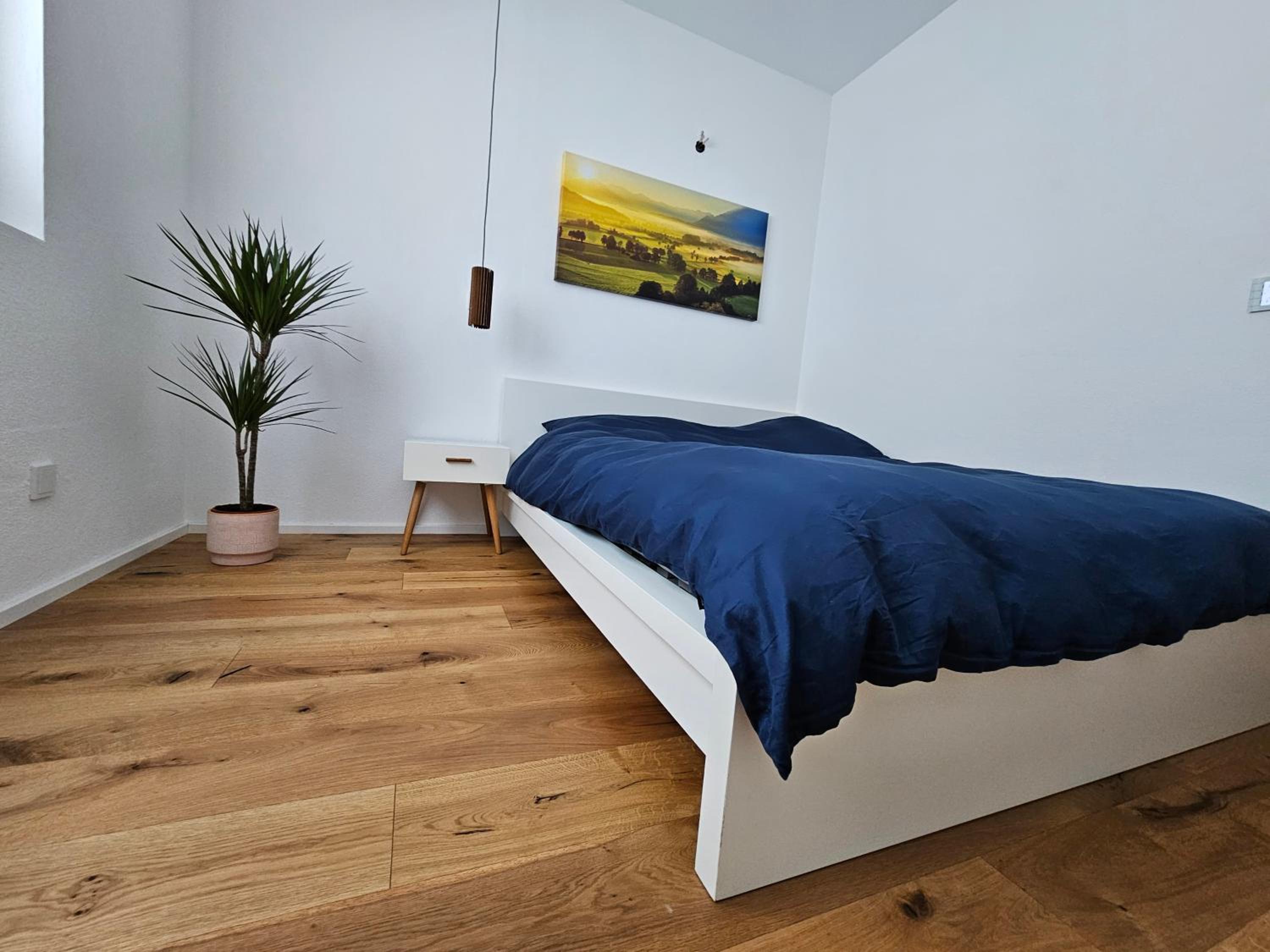 One-Bedroom Apartment photo 3