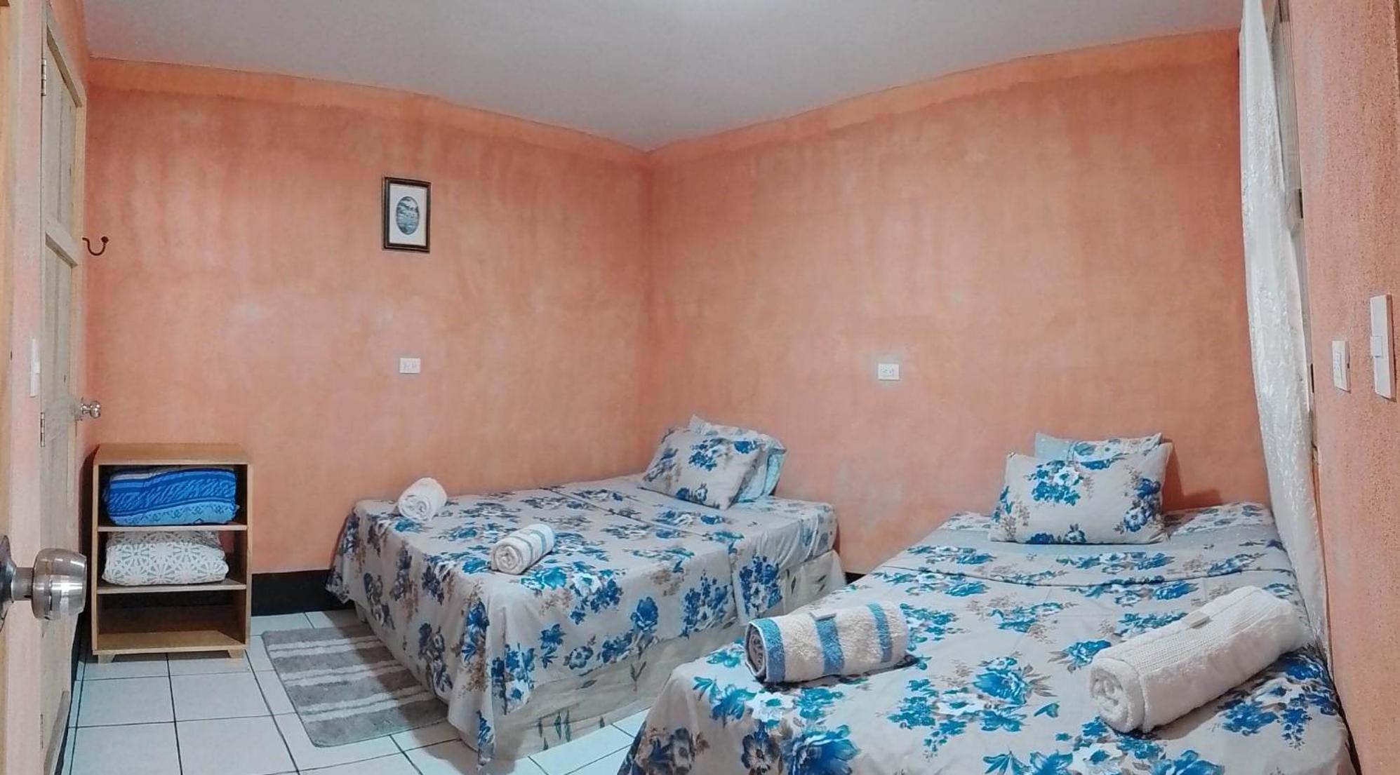 Twin Room photo 1