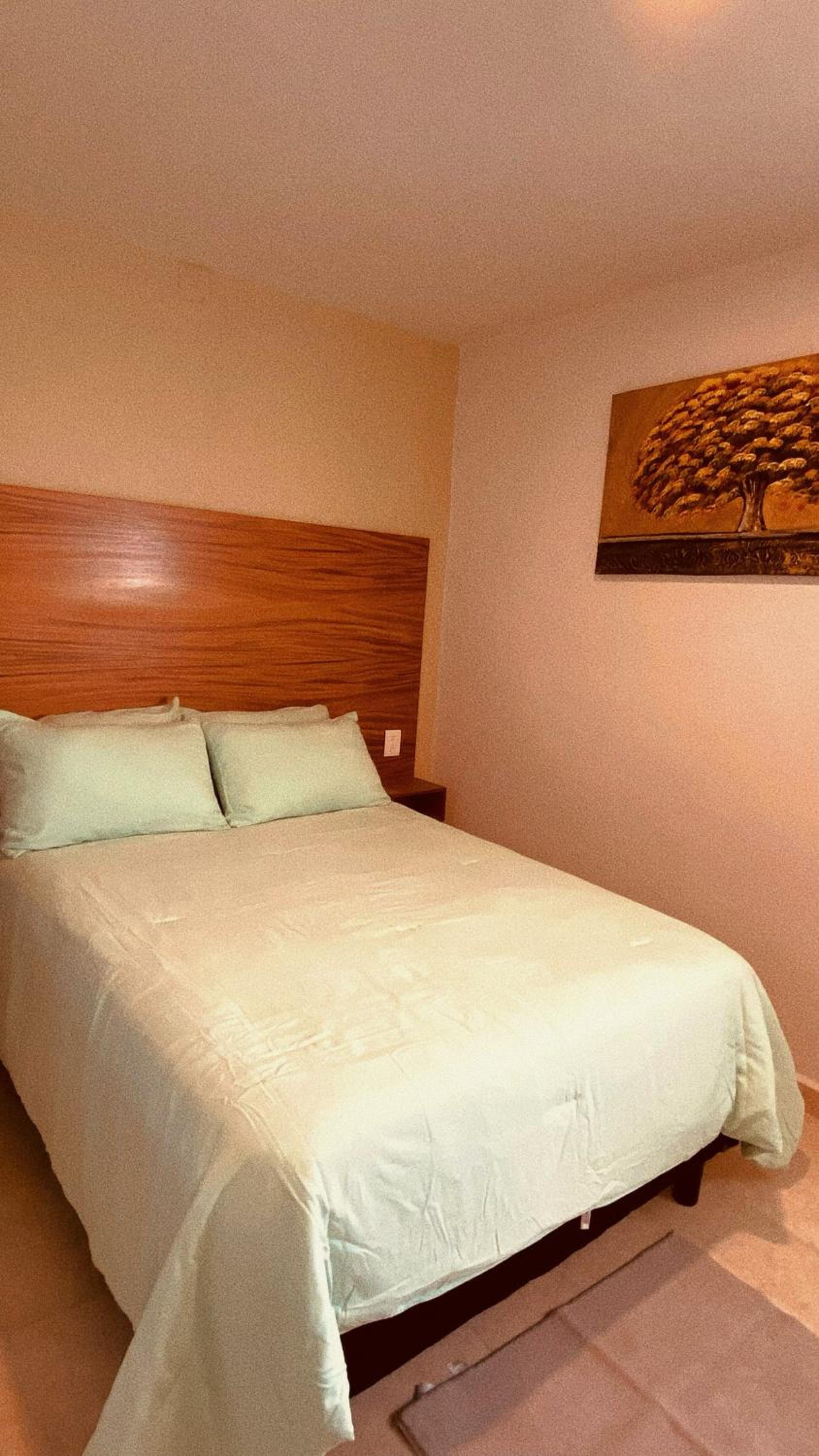Deluxe One-Bedroom Apartment