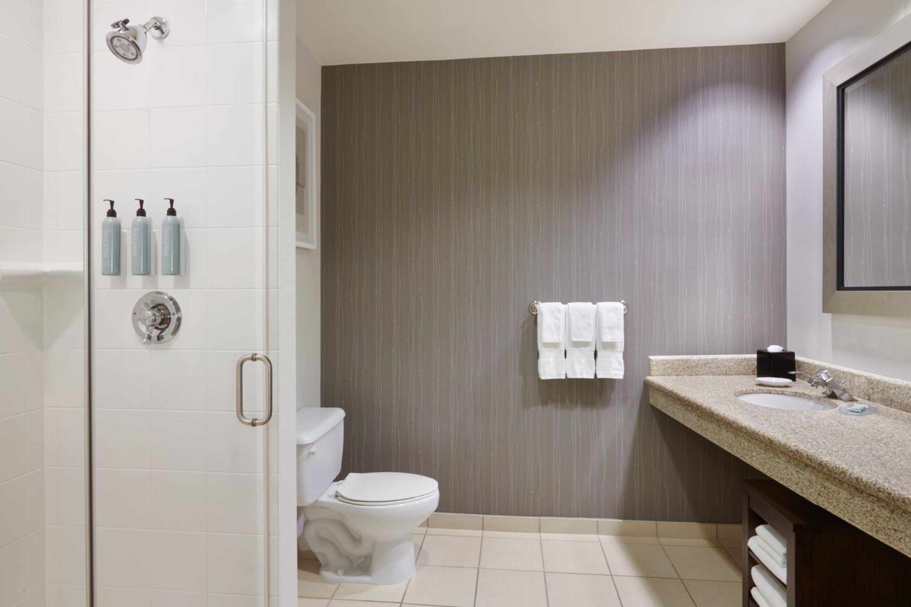 Deluxe One-Bedroom Business Suite with City View