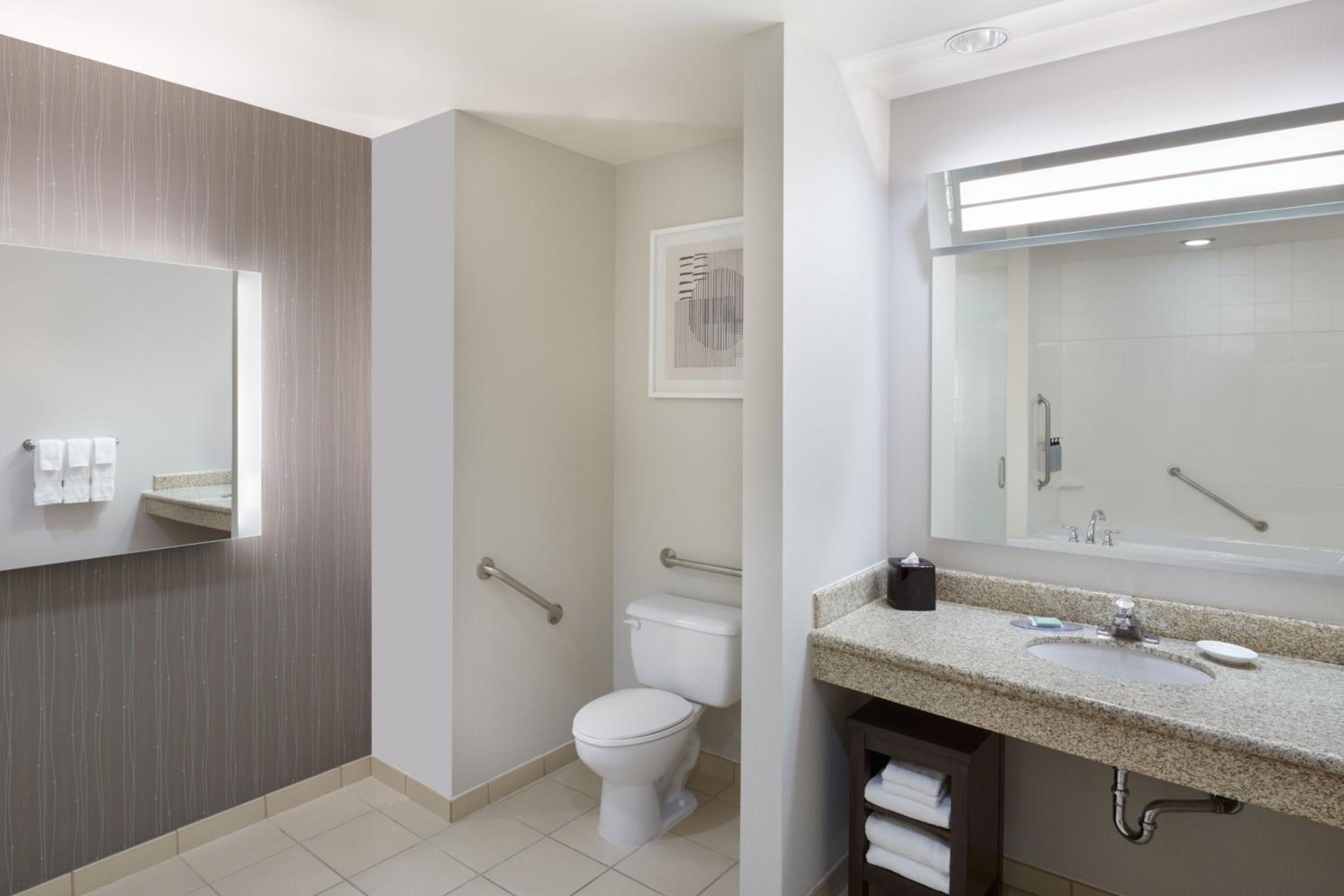 Deluxe One-Bedroom Business Suite with City View