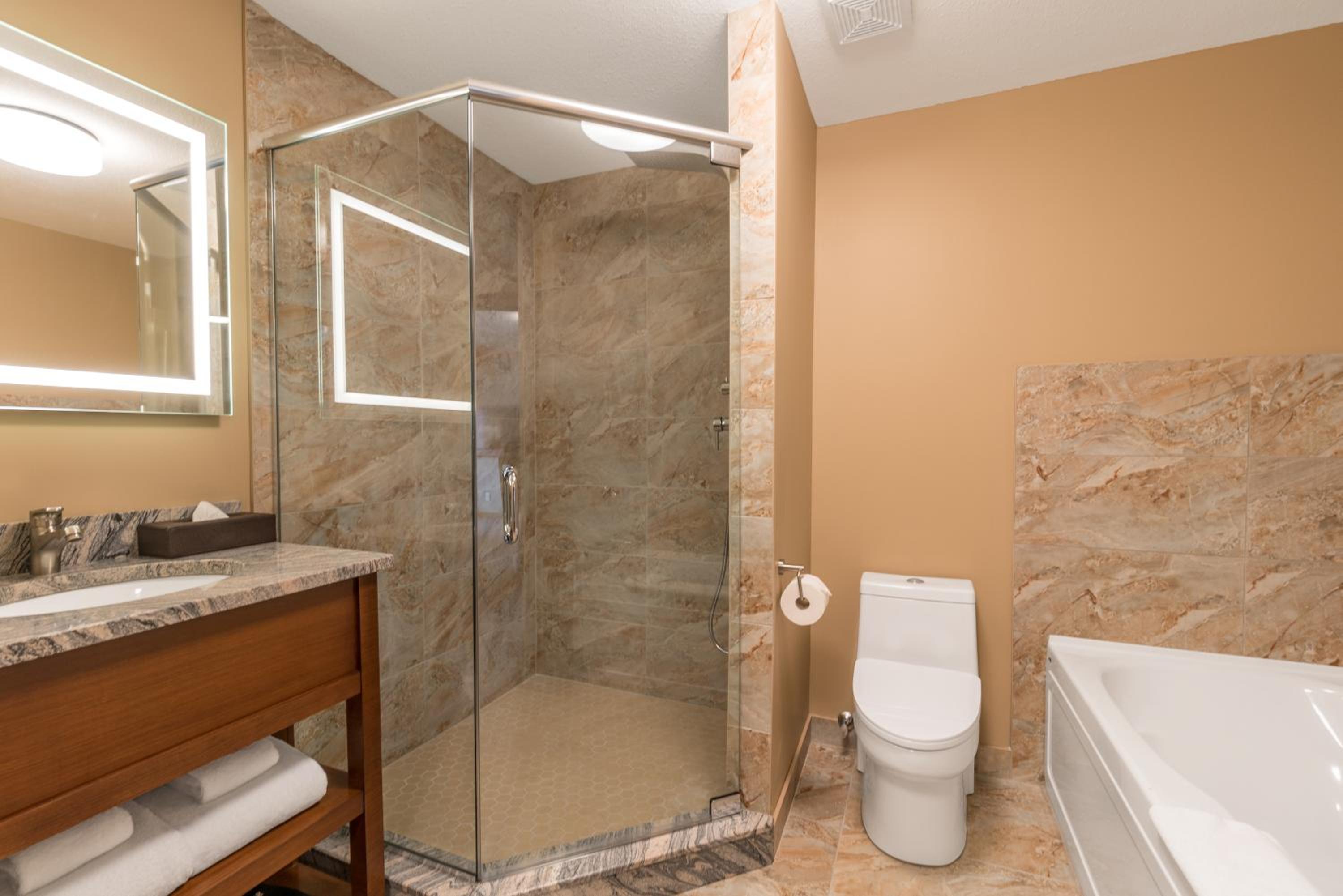 One-Bedroom Suite photo 2