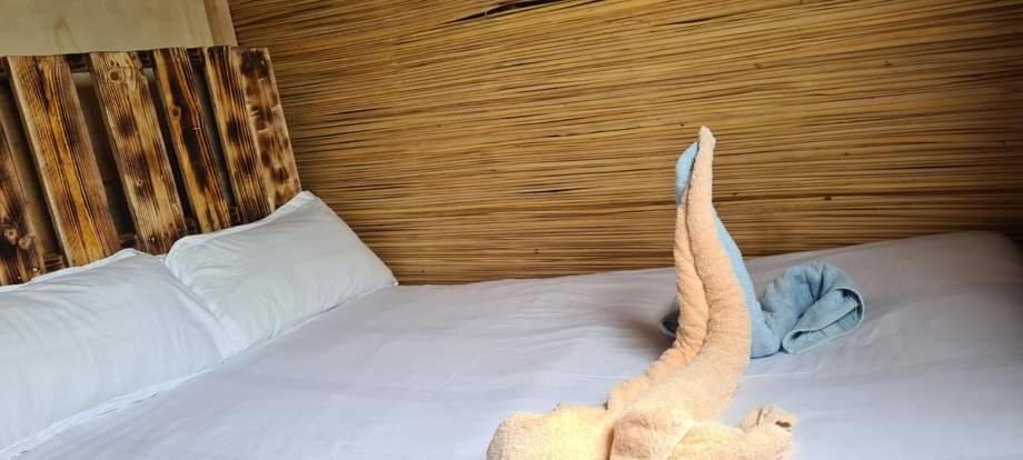 Budget Double Room photo 1