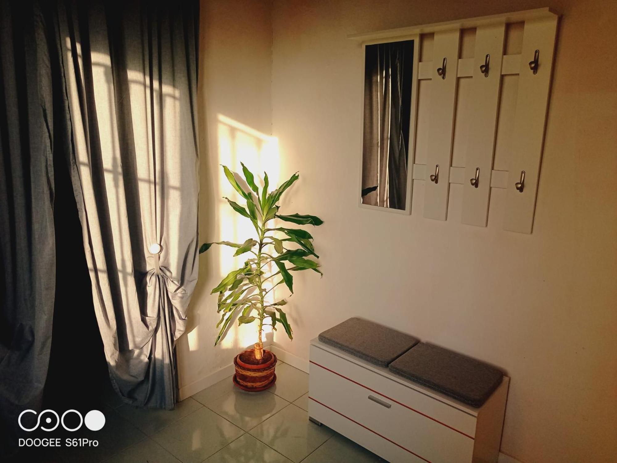 One-Bedroom House photo 2