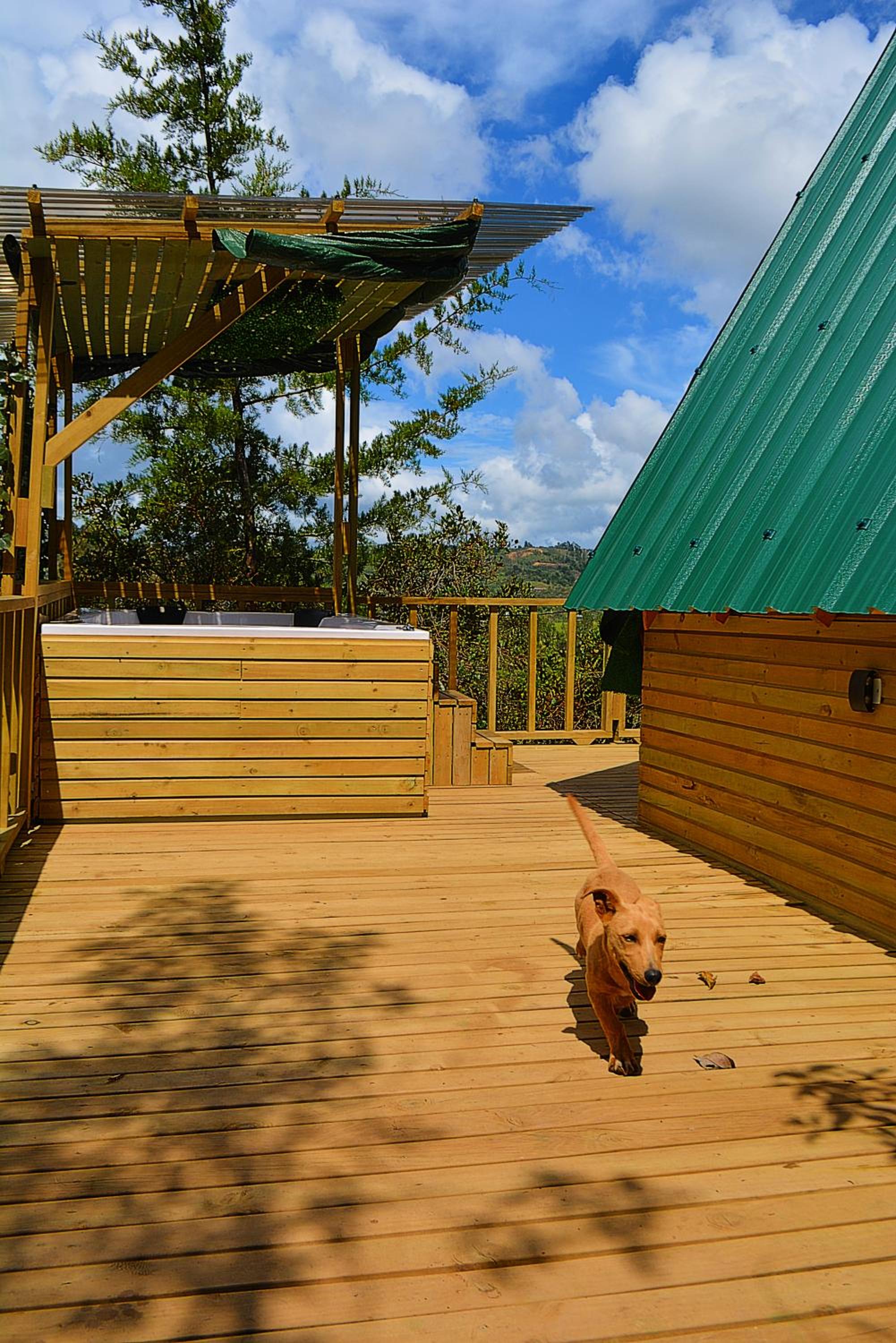 Chalet photo 3