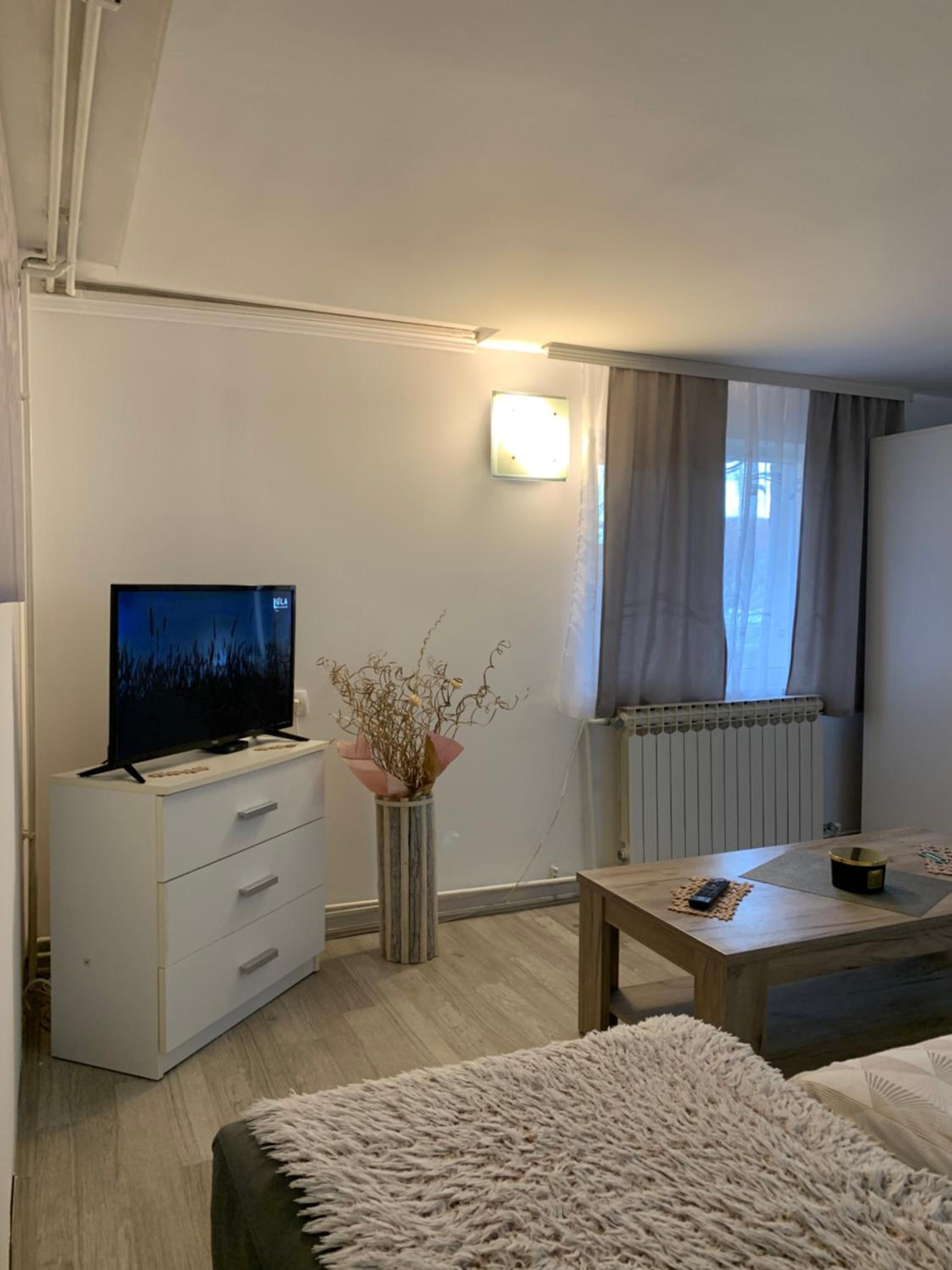 One-Bedroom Apartment photo 3