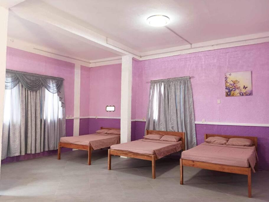 One-Bedroom House photo 3