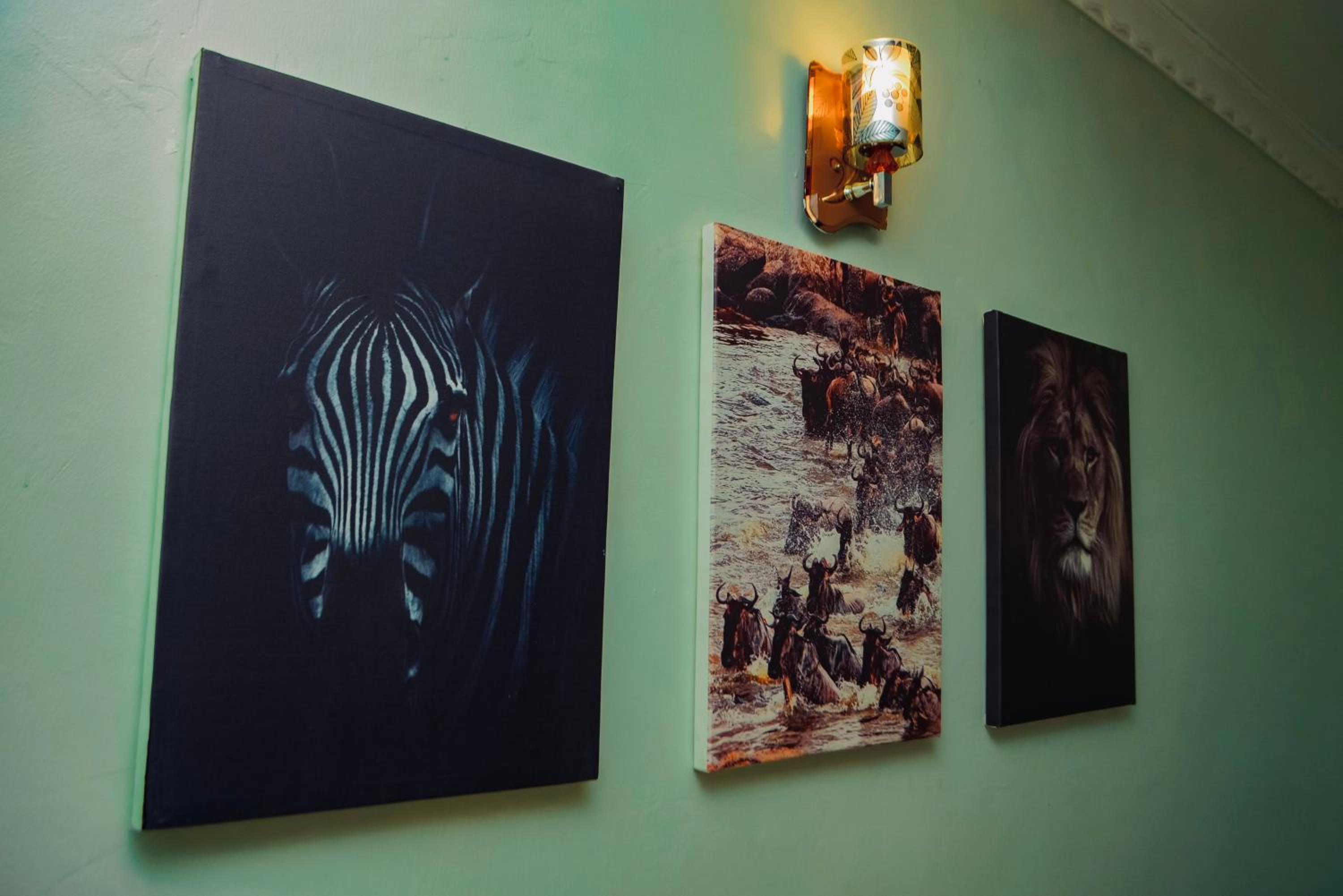 One-Bedroom Apartment photo 3