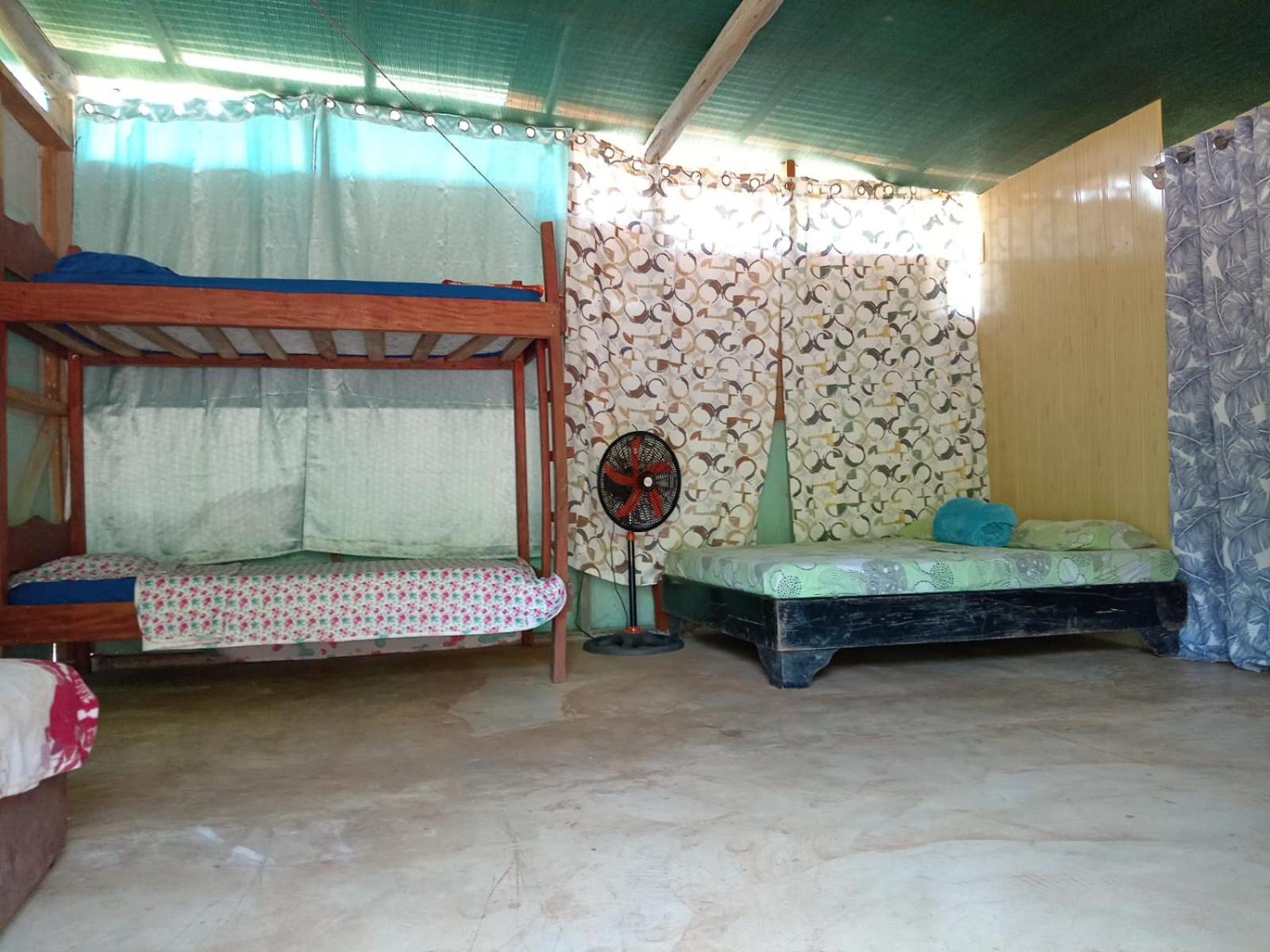 10-Bed Mixed Dormitory Room photo 1