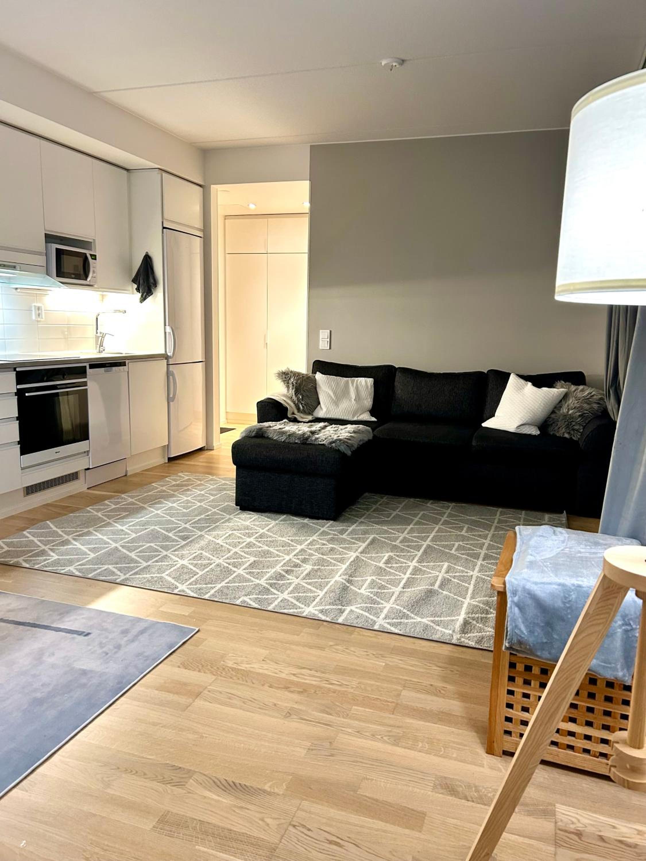 One-Bedroom Apartment photo 3