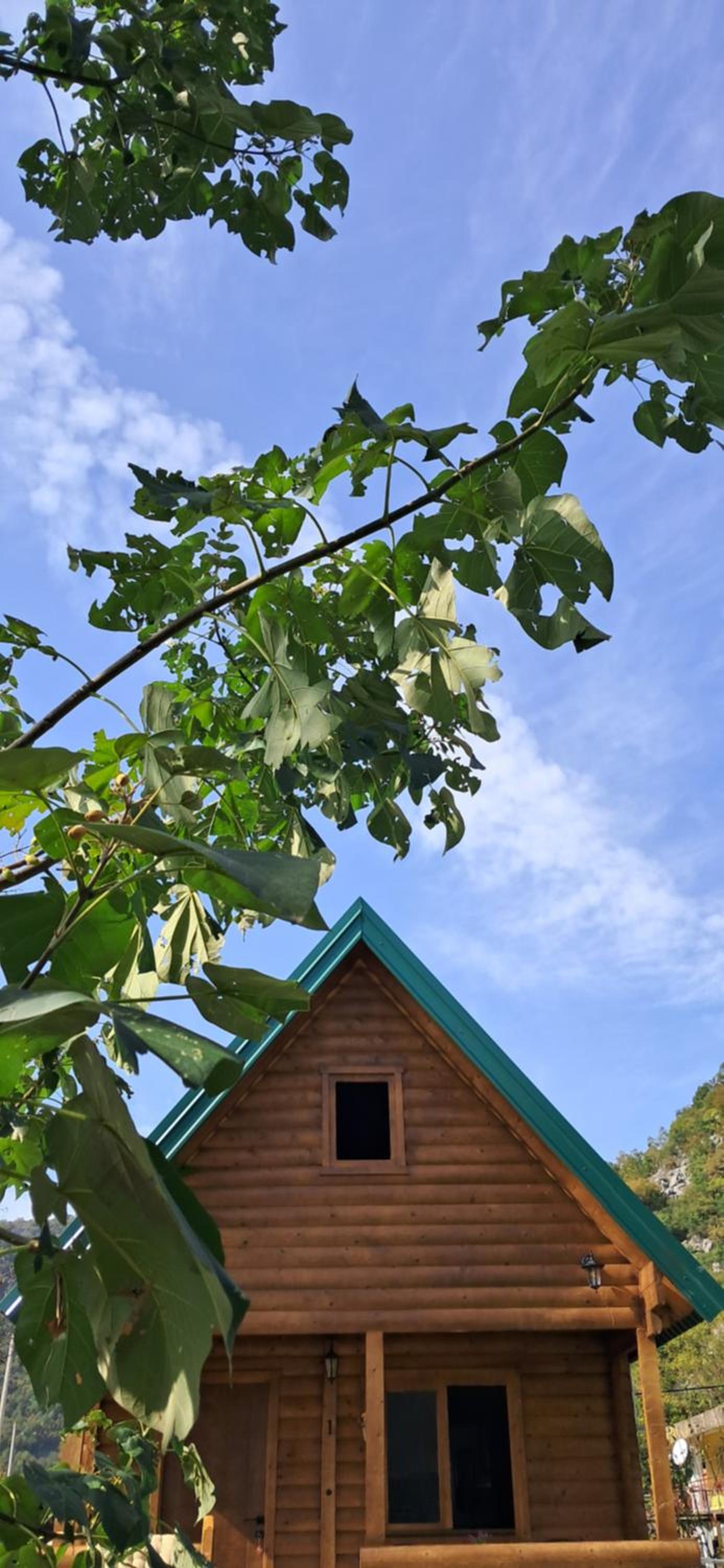 One-Bedroom House photo 2