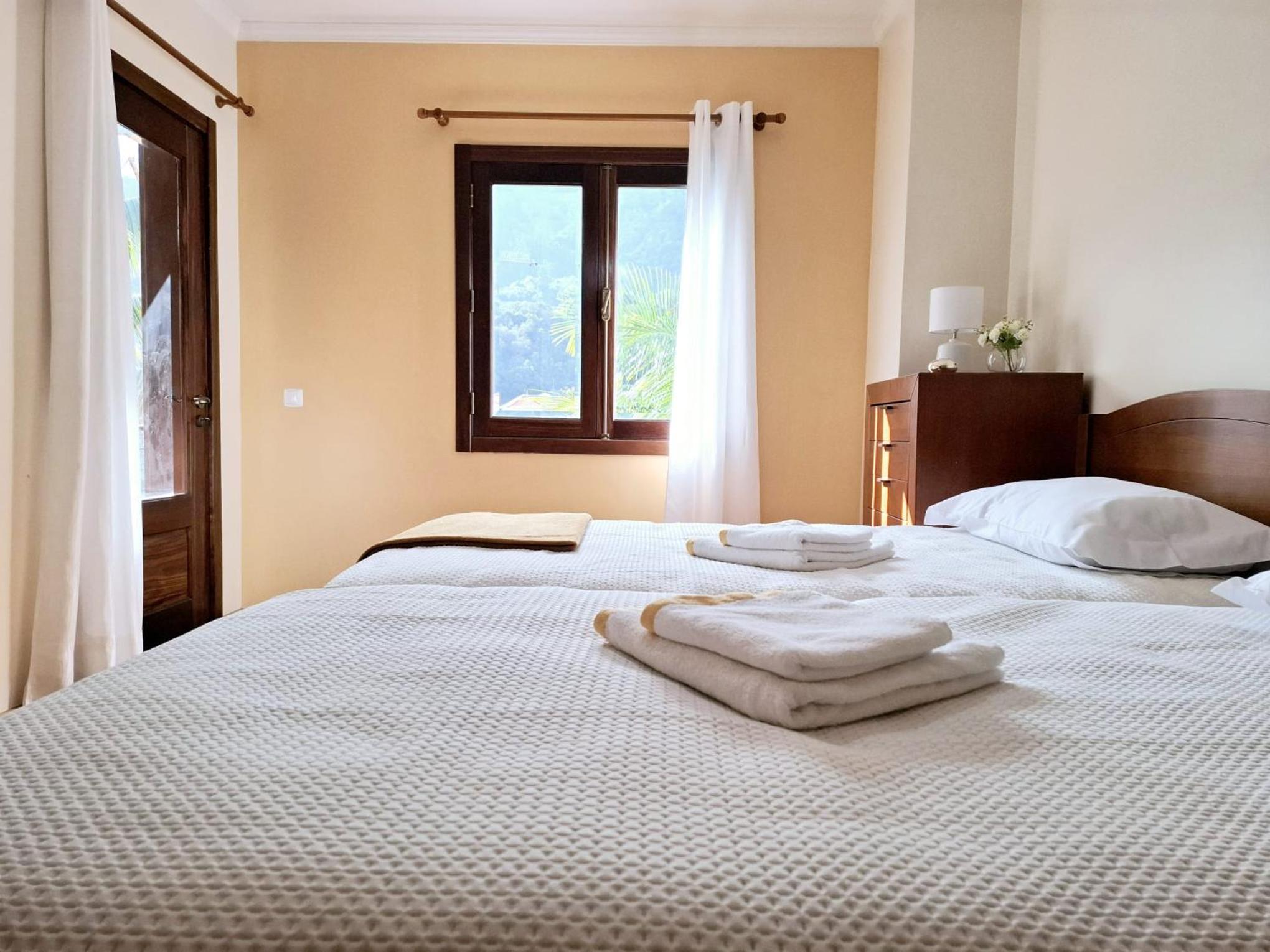 Deluxe Double or Twin Room with Mountain View photo 1