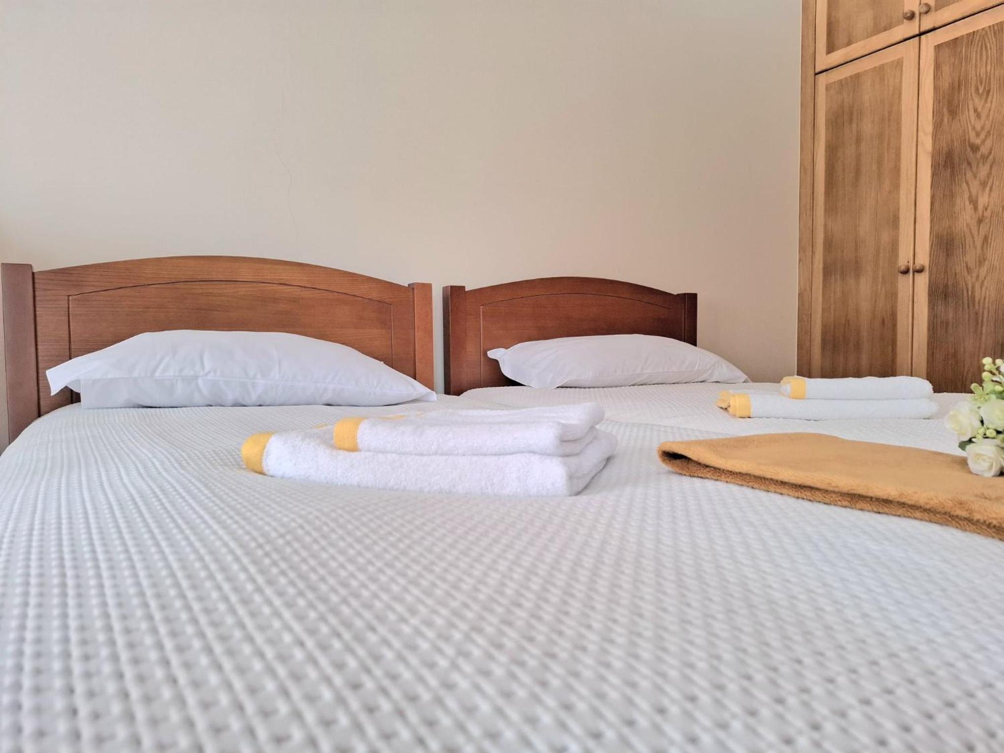 Deluxe Double or Twin Room with Mountain View photo 2