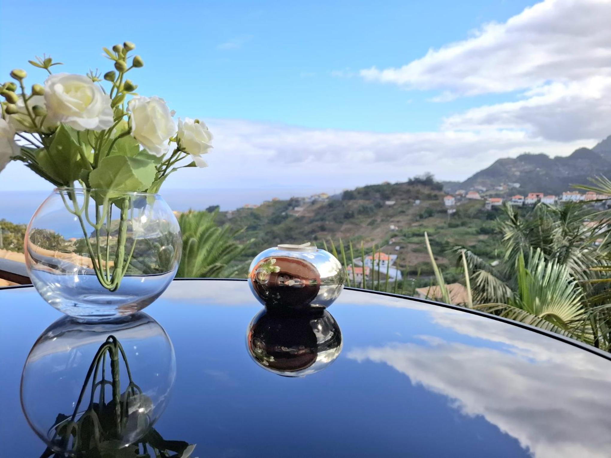 Deluxe Double or Twin Room with Mountain View photo 3